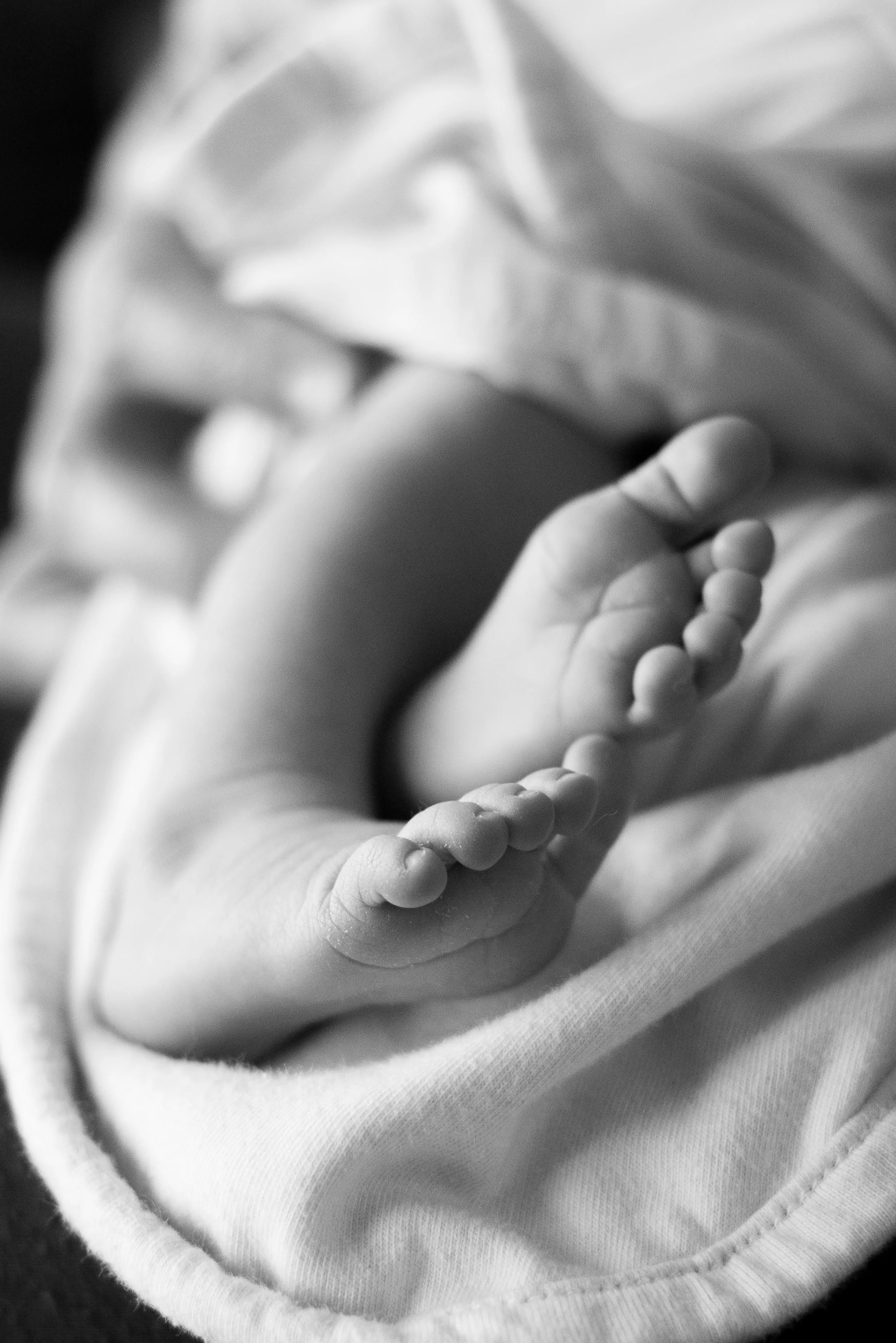 Northern Virginia Family Photographer  Vienna Virginia Family Photographer  Vienna Virginia Newborn Photographer