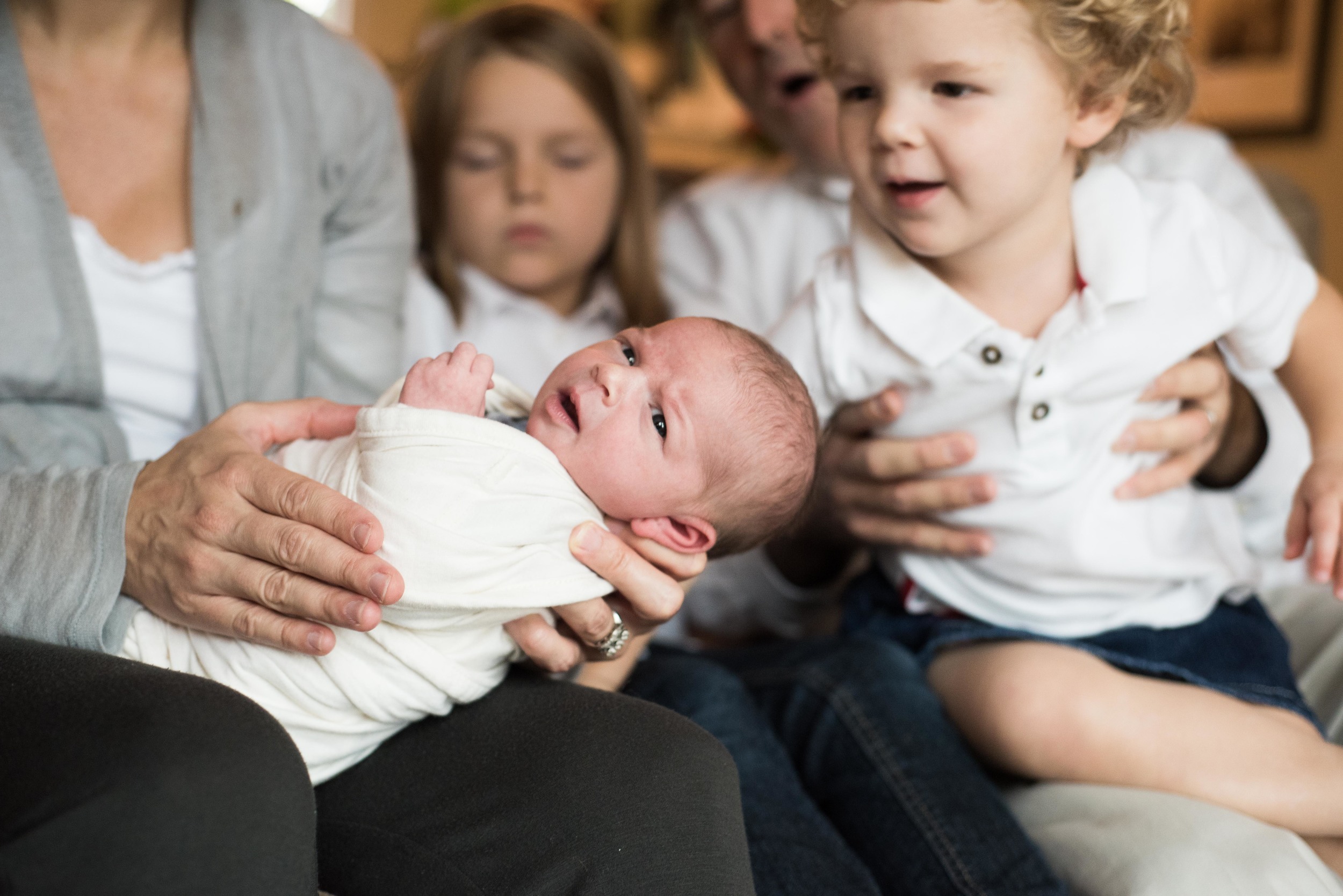 Northern Virginia Family Photographer  Vienna Virginia Family Photographer  Vienna Virginia Newborn Photographer