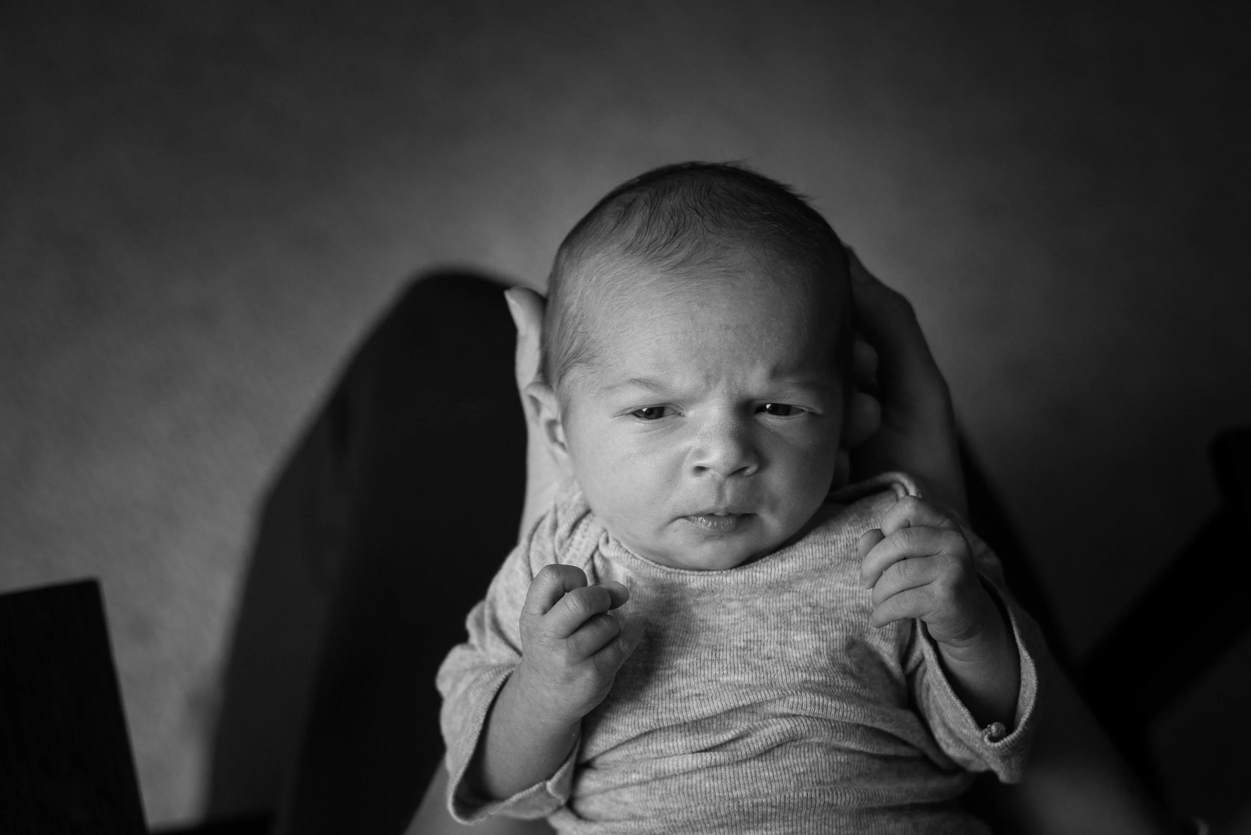 Northern Virginia Family Photographer  Vienna Virginia Family Photographer  Vienna Virginia Newborn Photographer