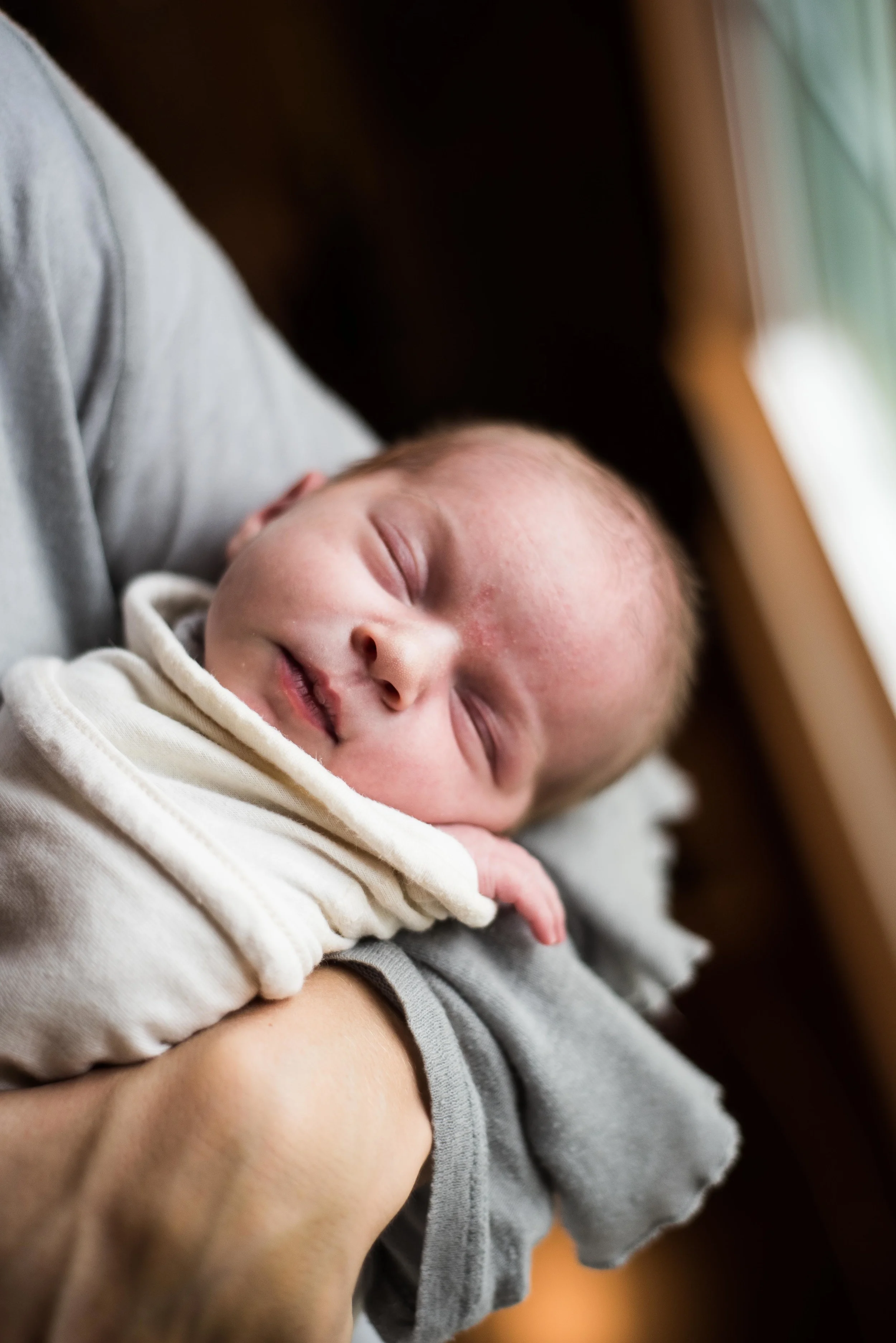 Northern Virginia Family Photographer  Vienna Virginia Family Photographer  Vienna Virginia Newborn Photographer