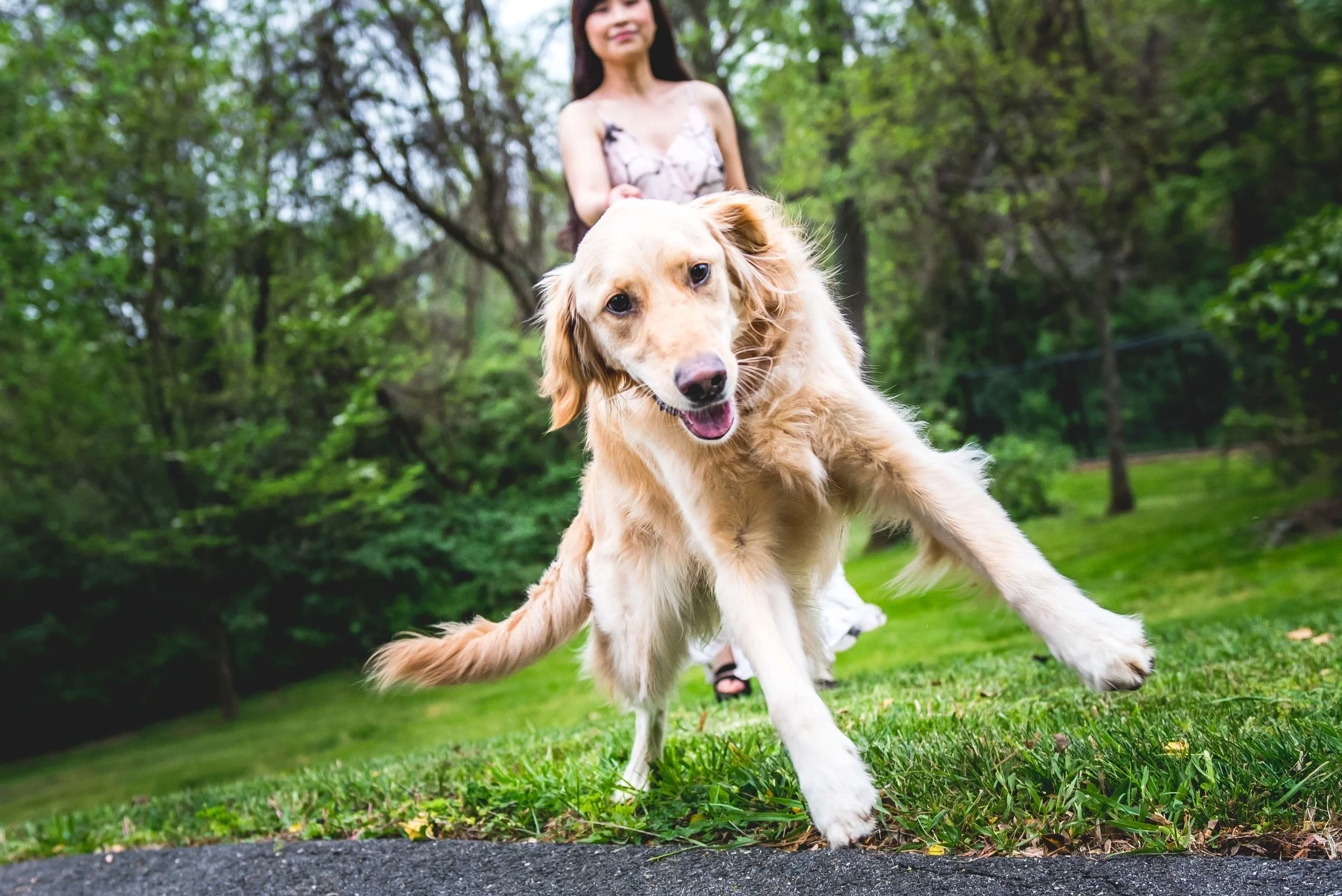 Vienna Virginia Pet Photographer-21.jpg