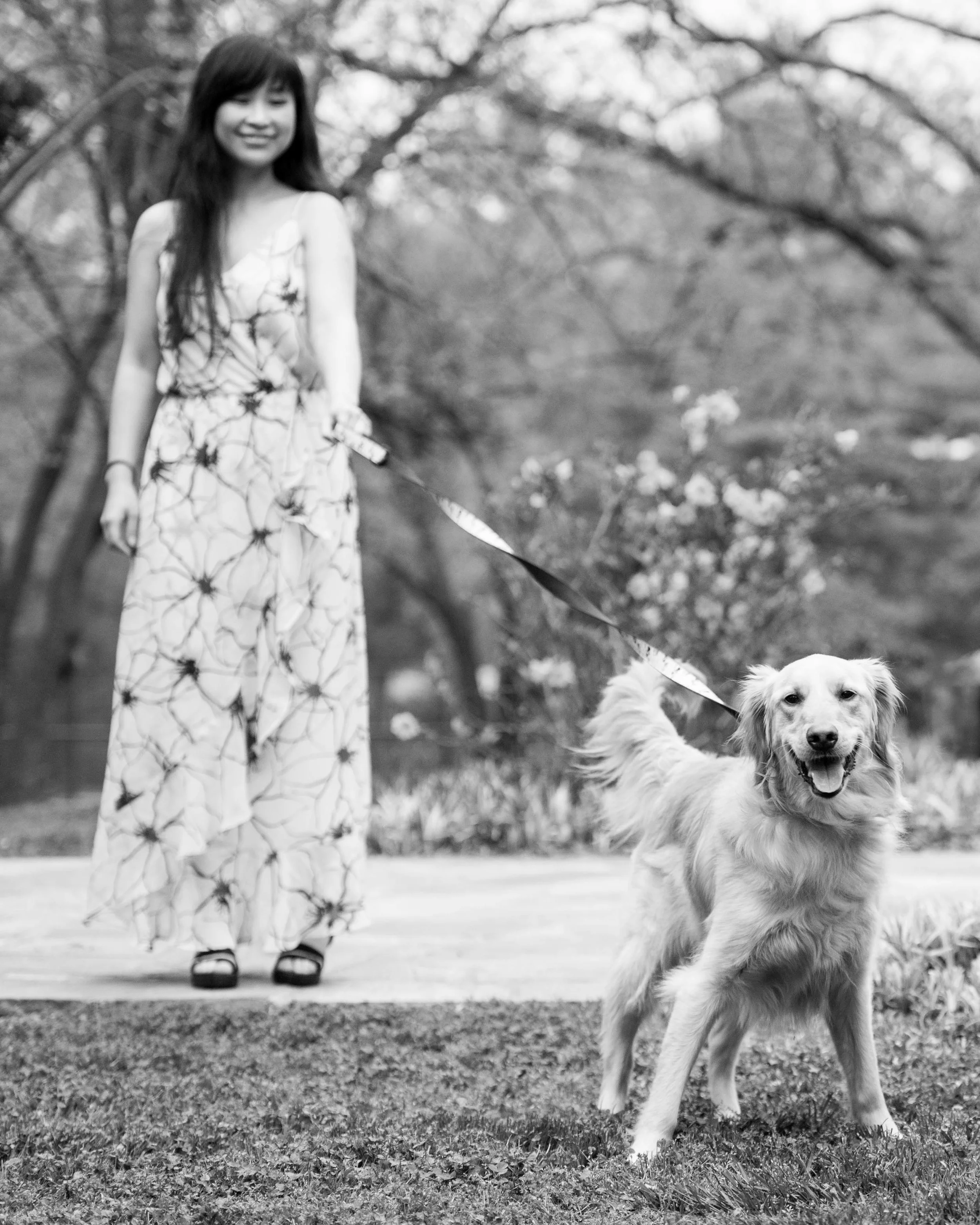 Vienna Virginia Pet Photographer-28.jpg
