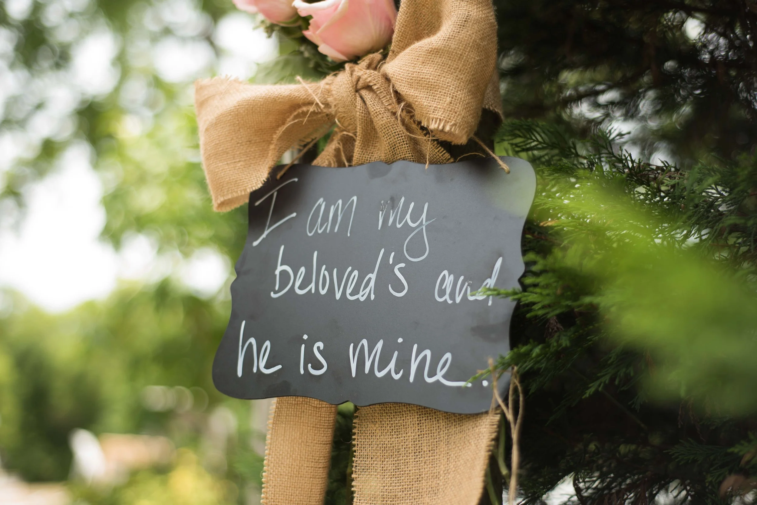 Northern Virginia Wedding Photographer-12.jpg