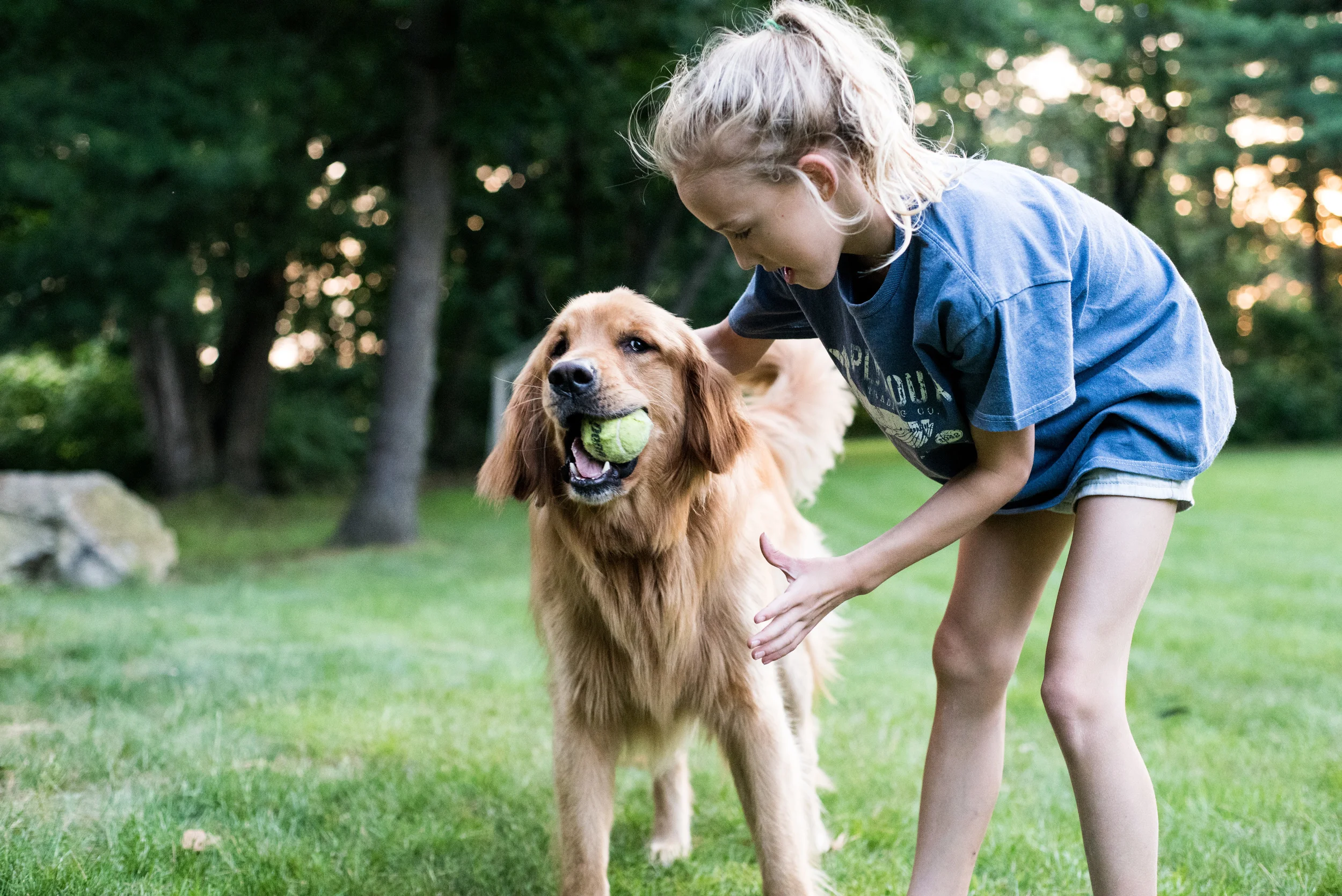 portfolio+sarah+and+dog-1.jpg