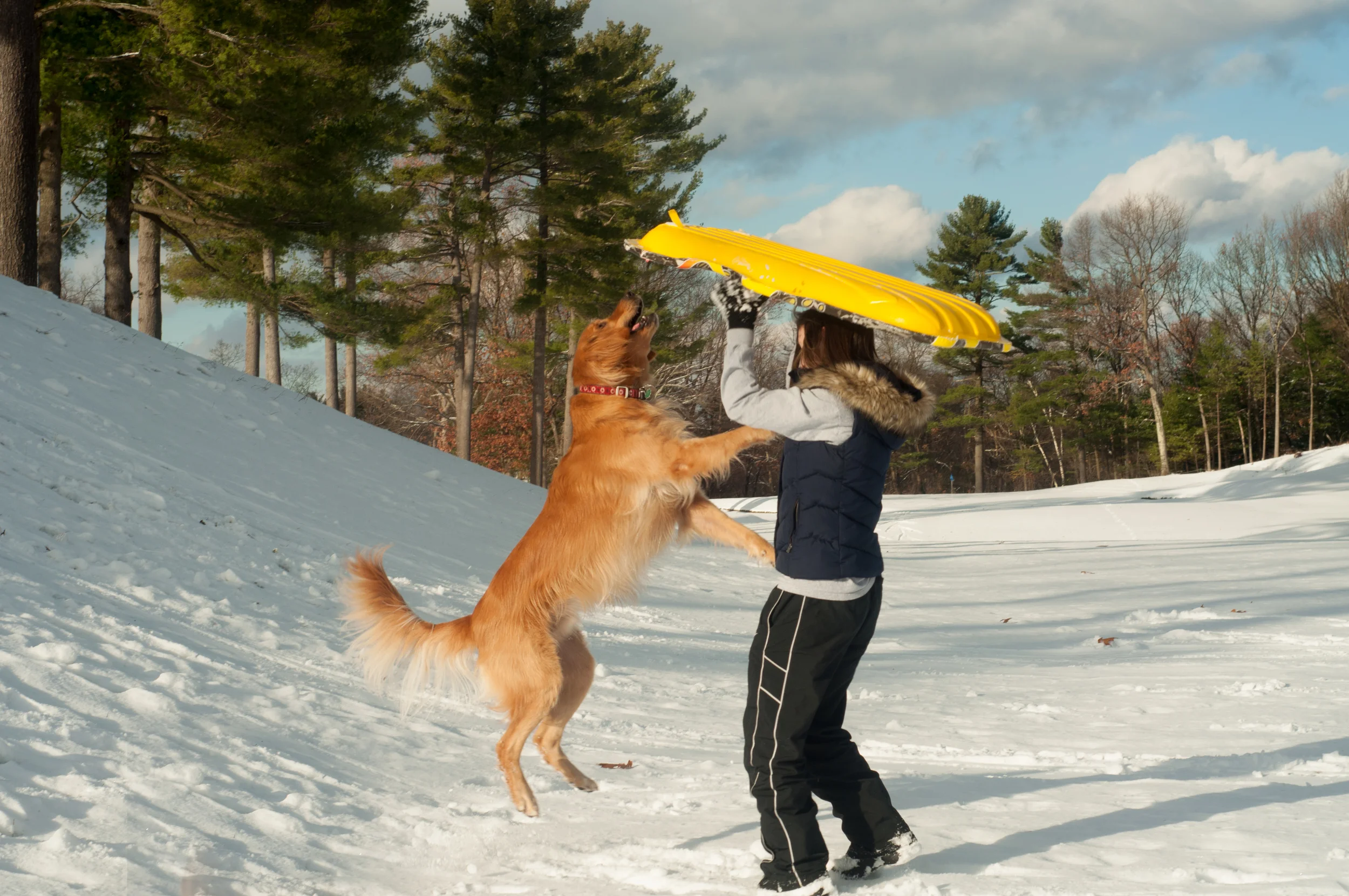 portfolio+snow-1.jpg