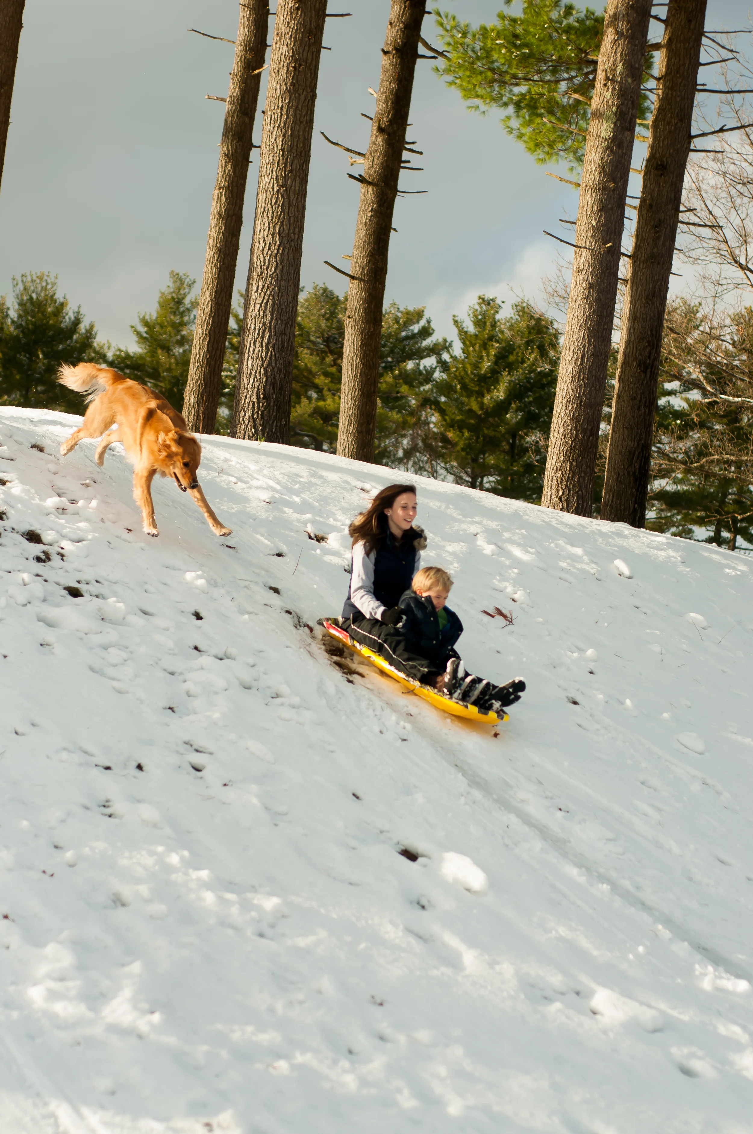 portfolio+snow-1-2.jpg