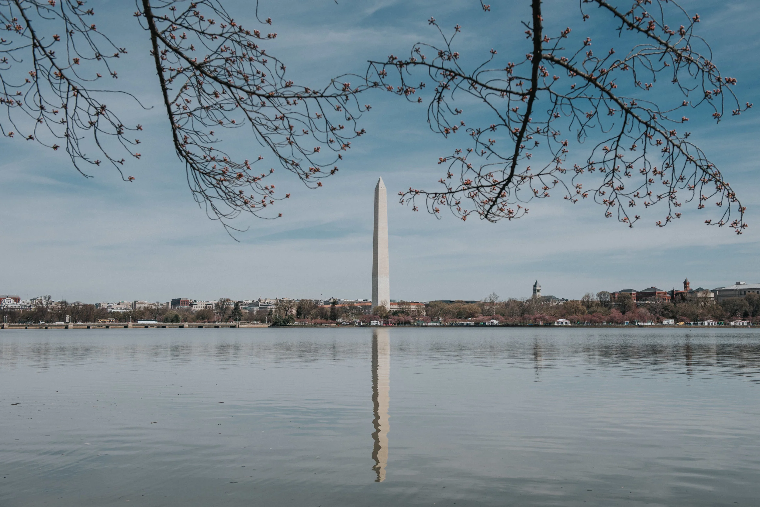 dc tidal basin-2.jpg