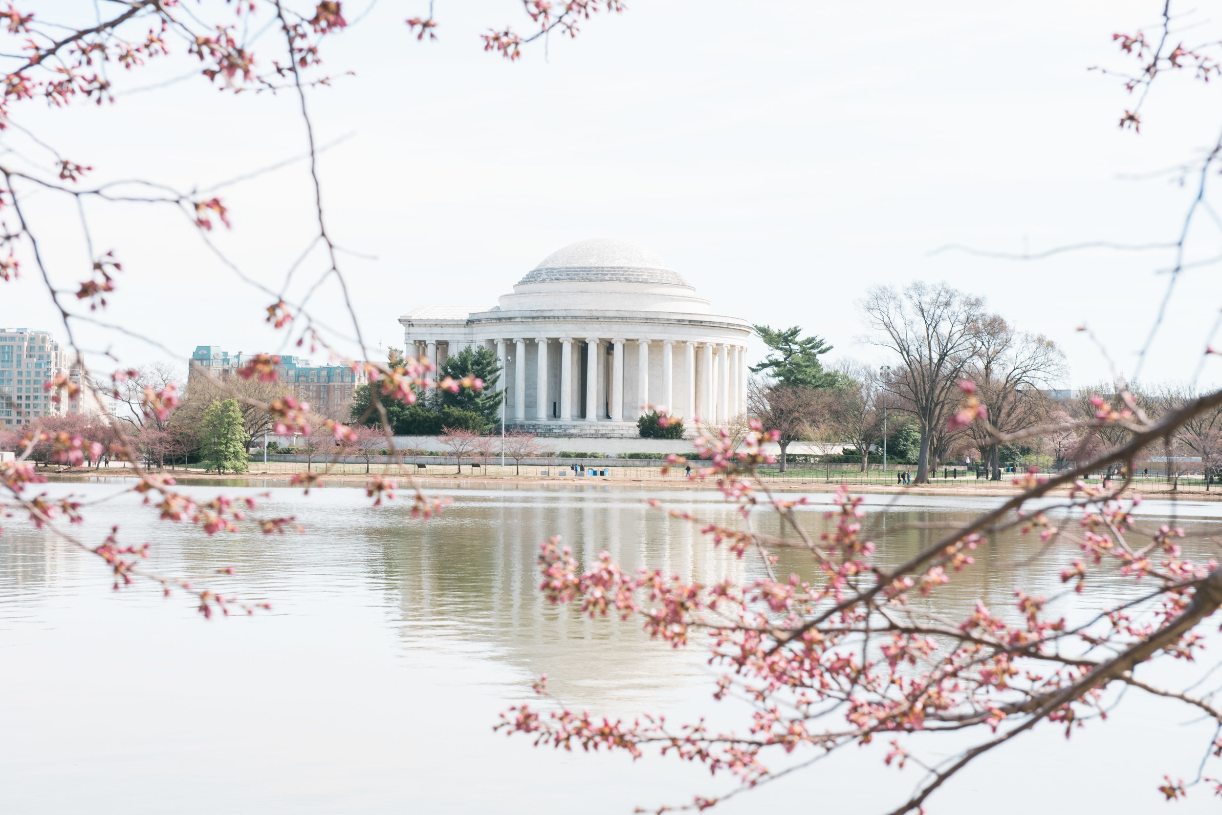 dc tidal basin-19.jpg