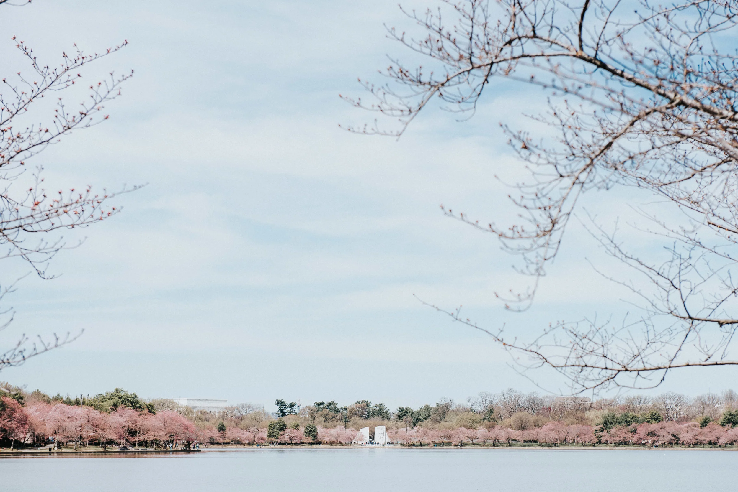 dc tidal basin-64.jpg