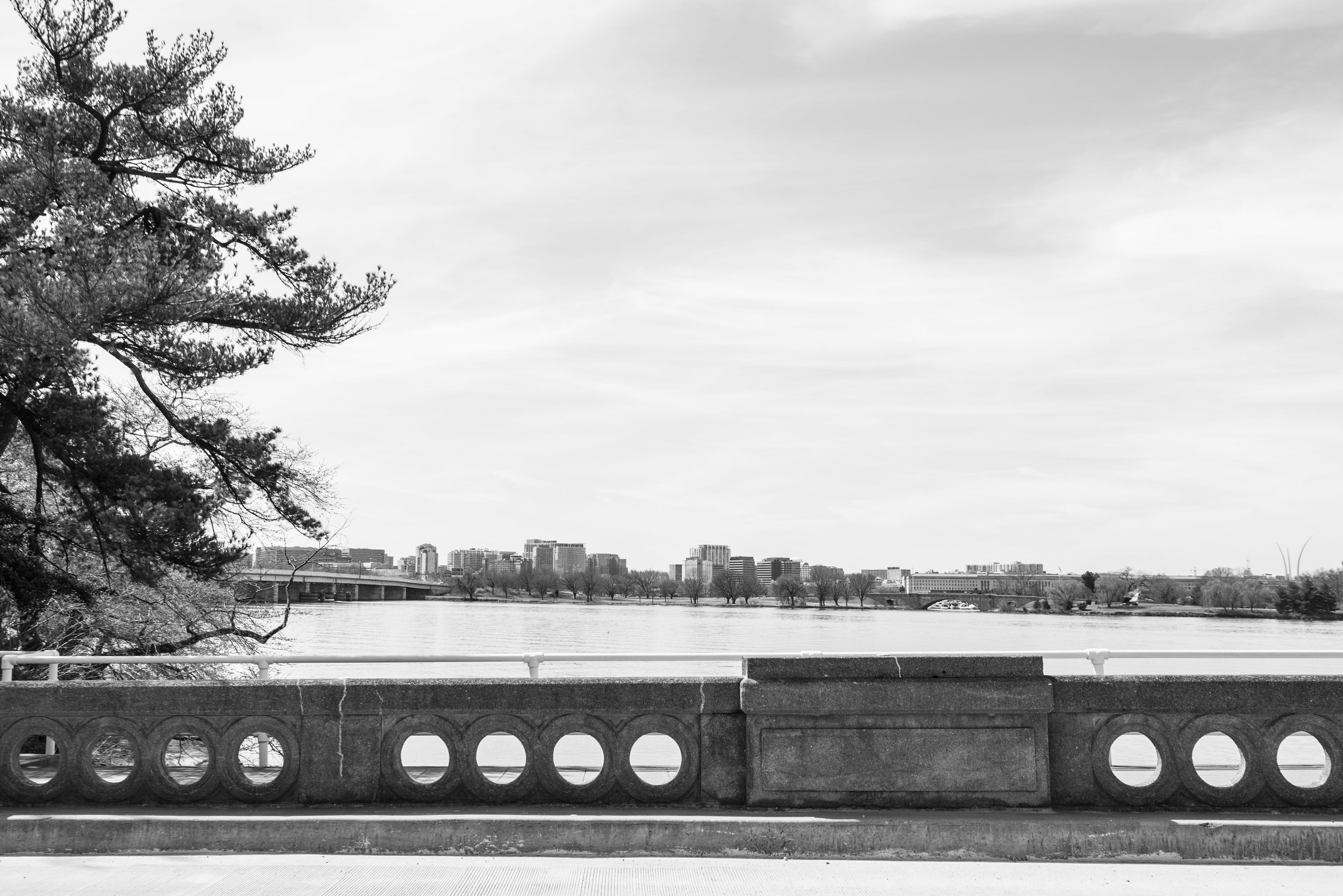 dc tidal basin-34.jpg