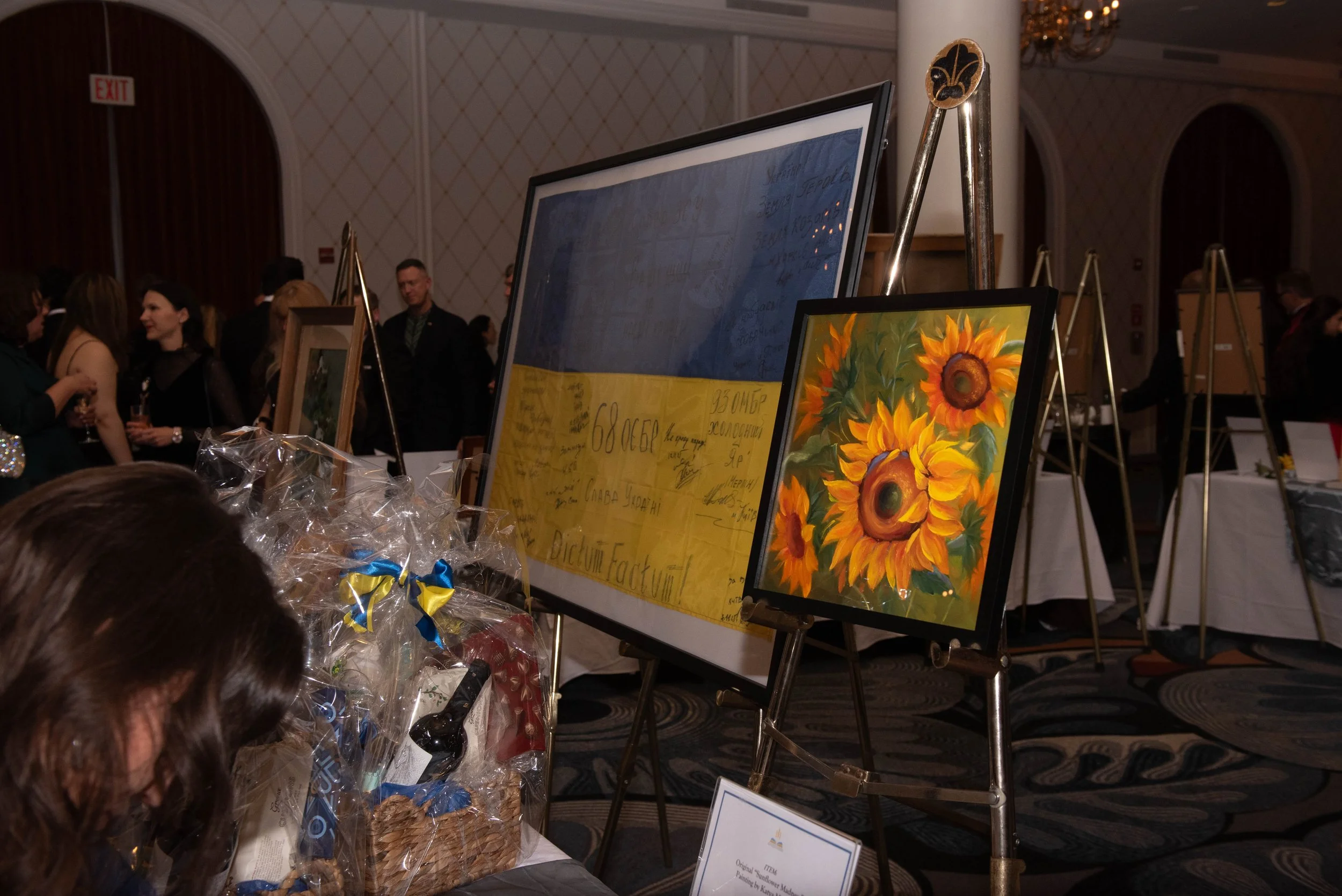 Ukrainian Ball: Gallery for Guests