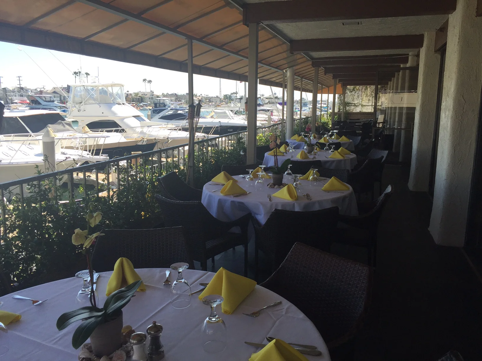 the yacht club newport beach