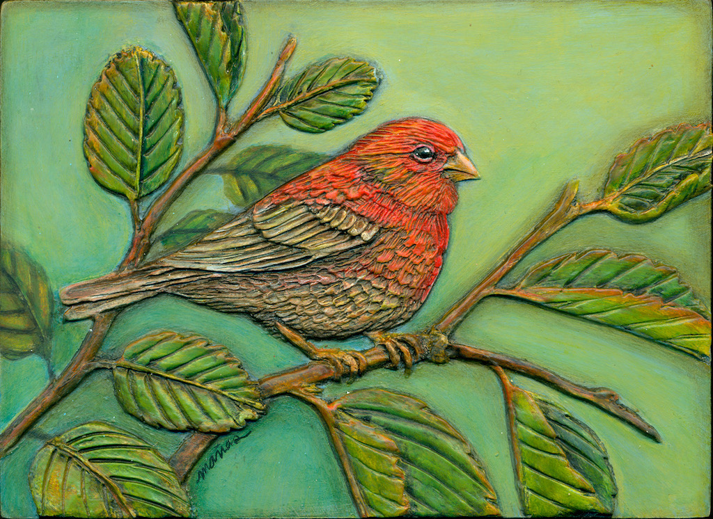 Happy House Finch.jpeg