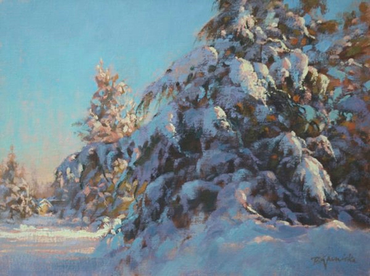 BJaenicke-Hiding Behind the Snowy Juniper-12x16-oil.jpg