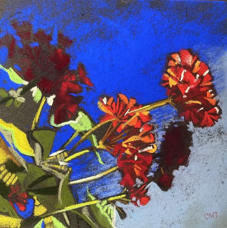 Bloom Baby Bloom.jpg