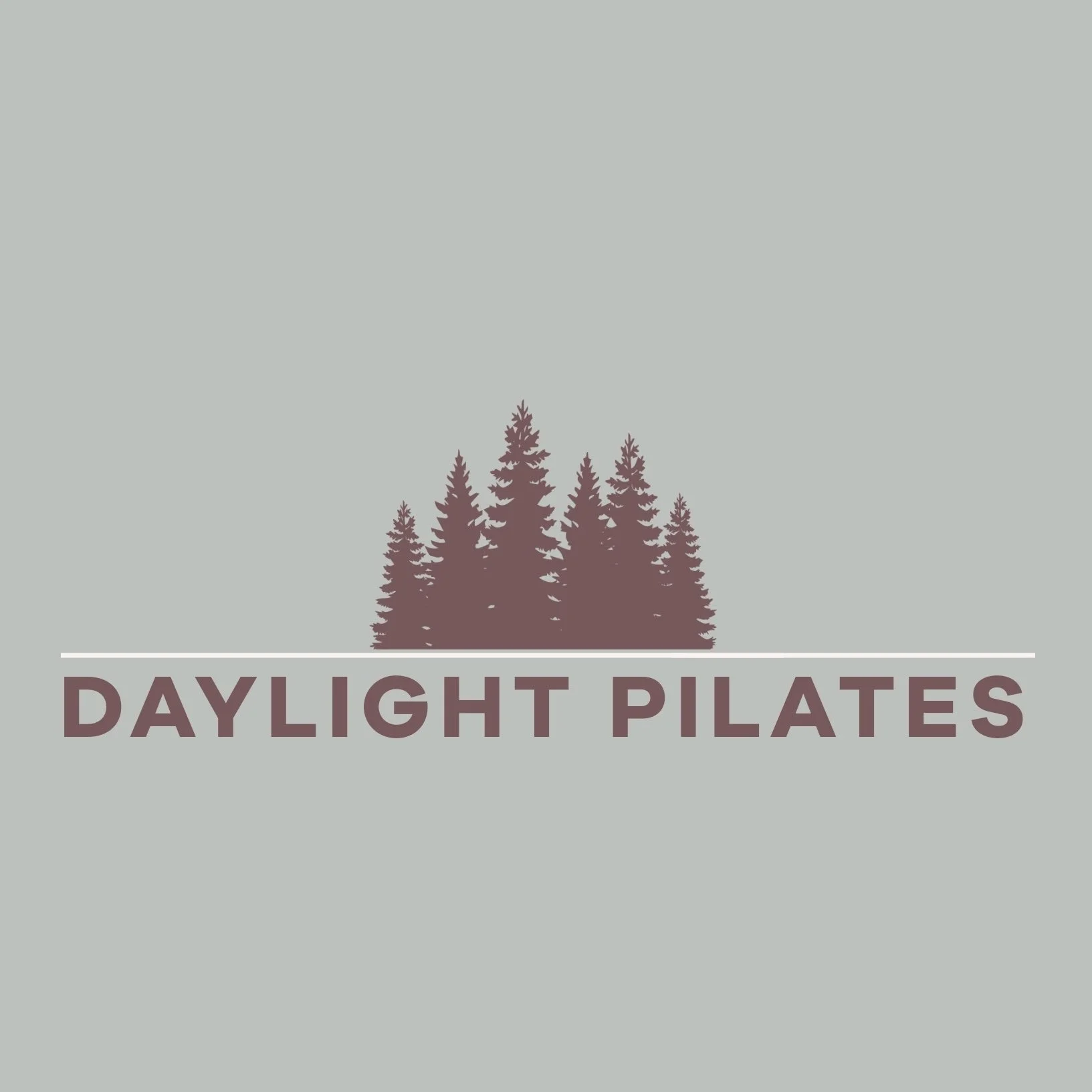 daylightpilatescover.jpeg