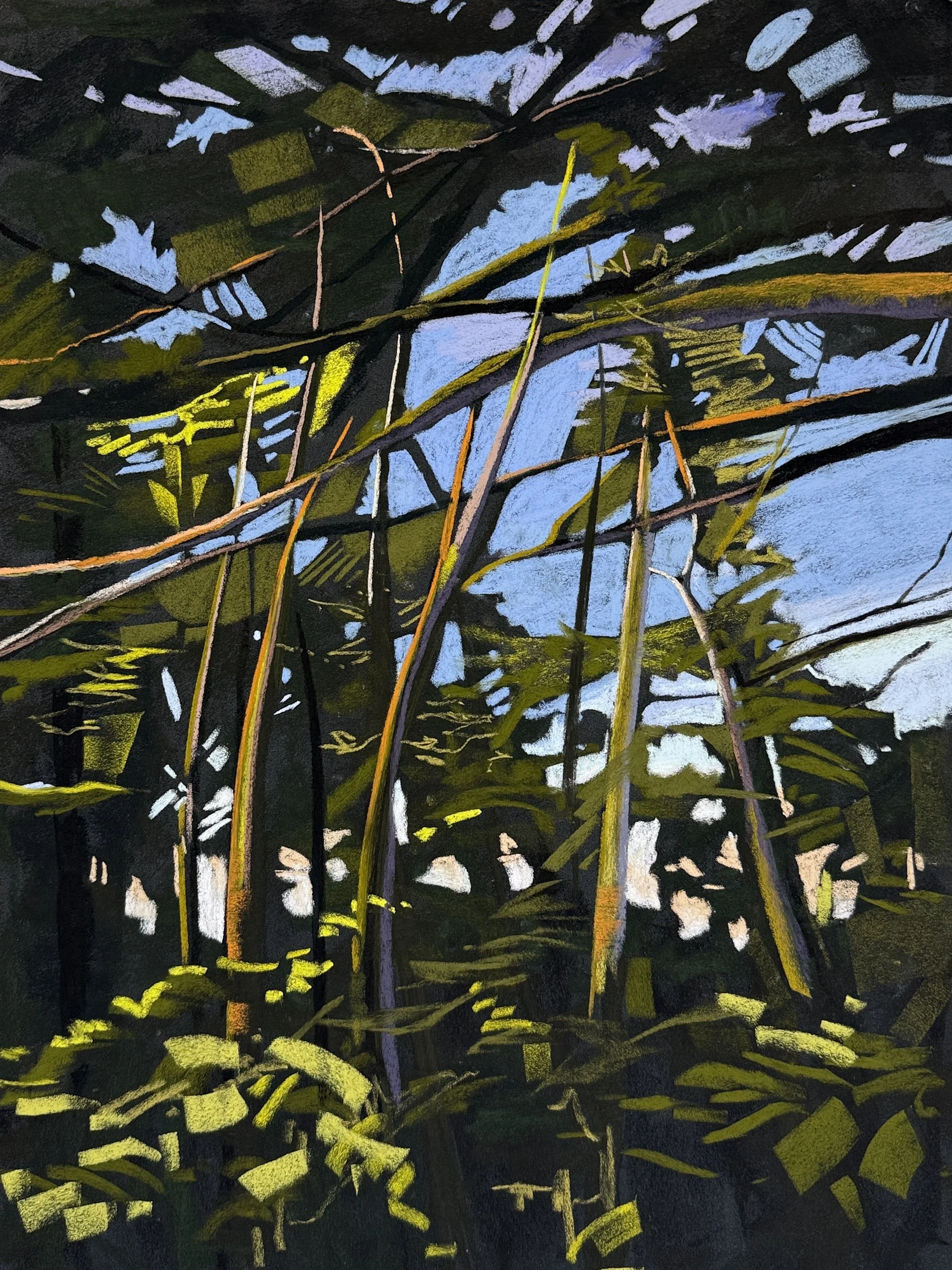 Looking Skyward