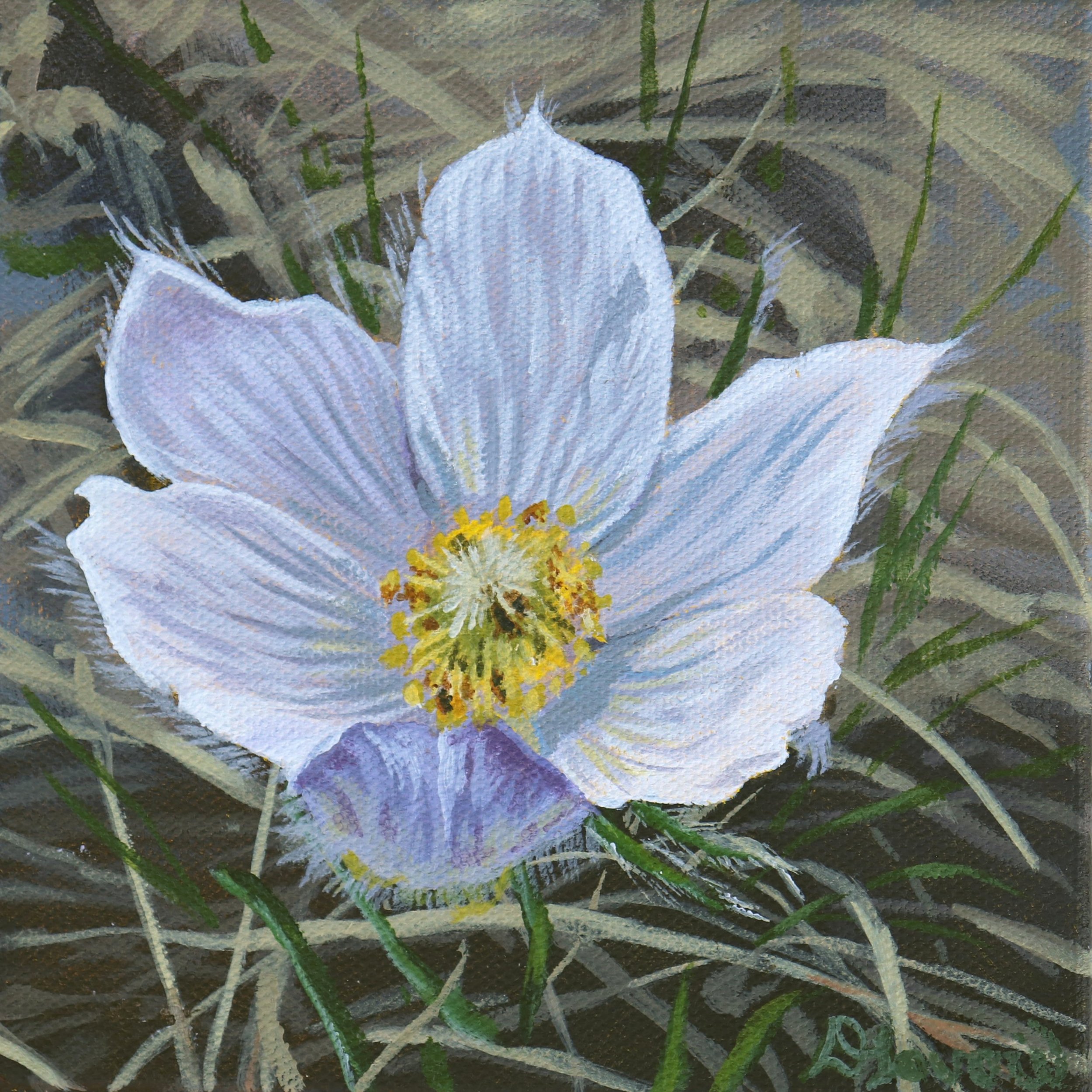 Serene_6x6_Acrylic on Canvas.jpg