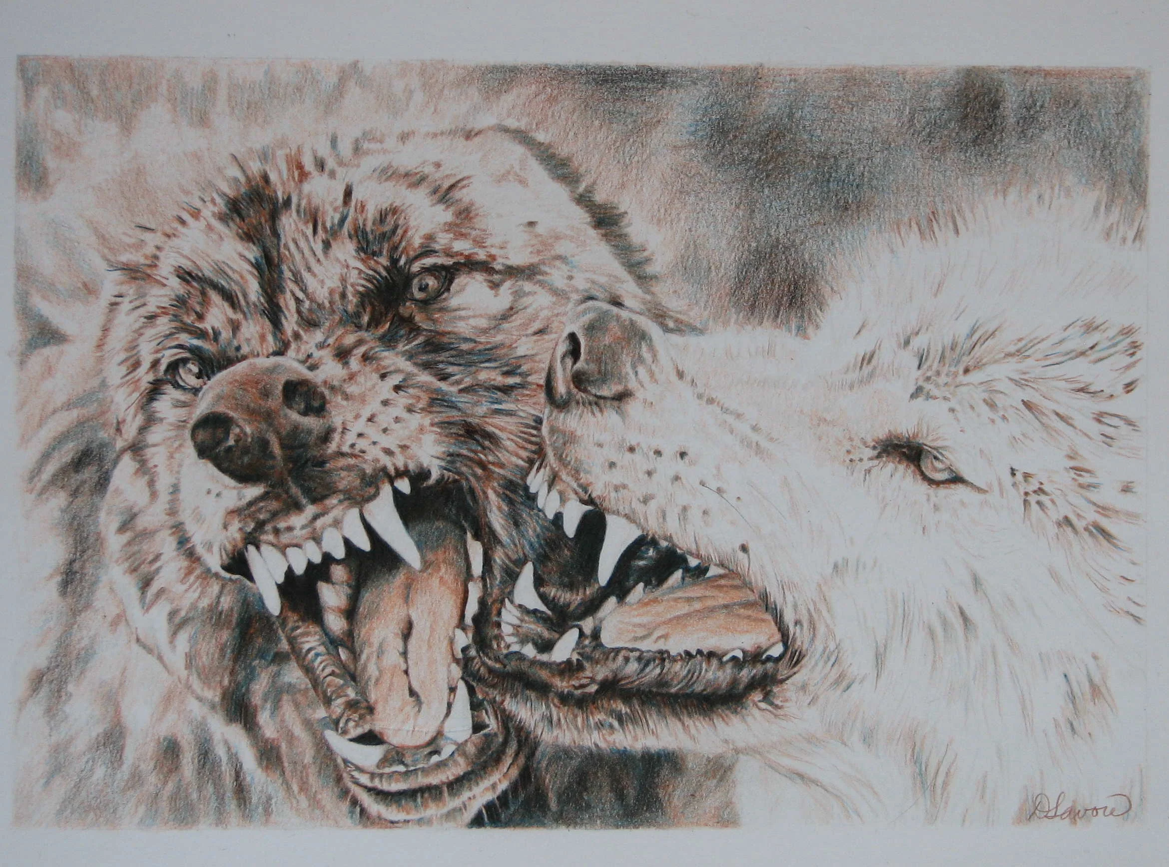 Wolves Coloured PencilPrivate Collection - Canada