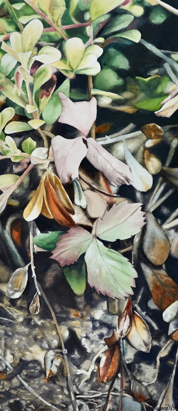 Deep Forest Watercolour on paper Available as a limited edition print on paper. While hiking in the Kananaskis, I came across these wild strawberry leaves during their Autumn changes. I was inspired by the gentle colour combination and elegant shapes as these plants are slowly easing their way into their winter slumber.