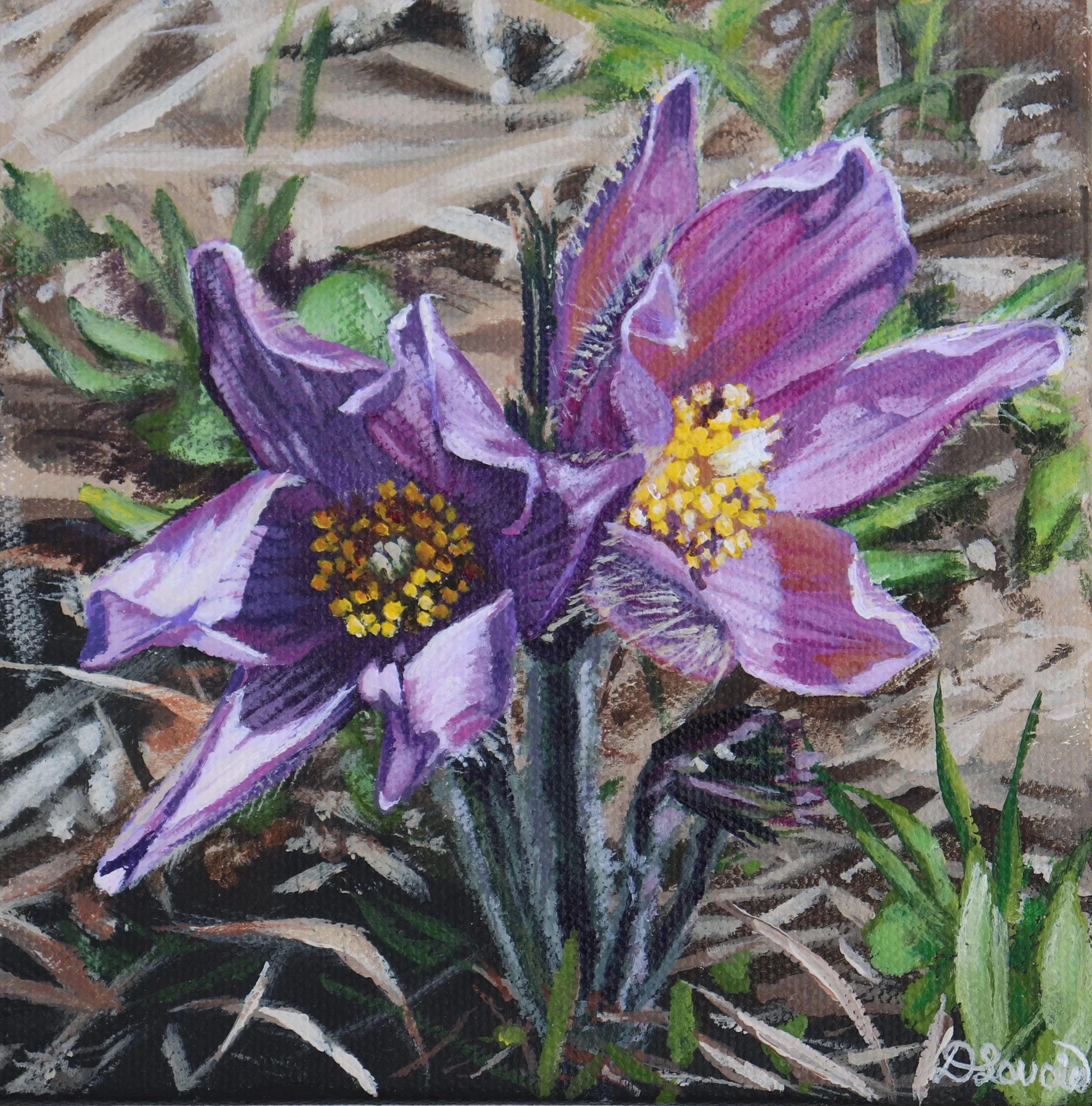 Spring Opening 6x6 Acrylic on  Canvas.jpg