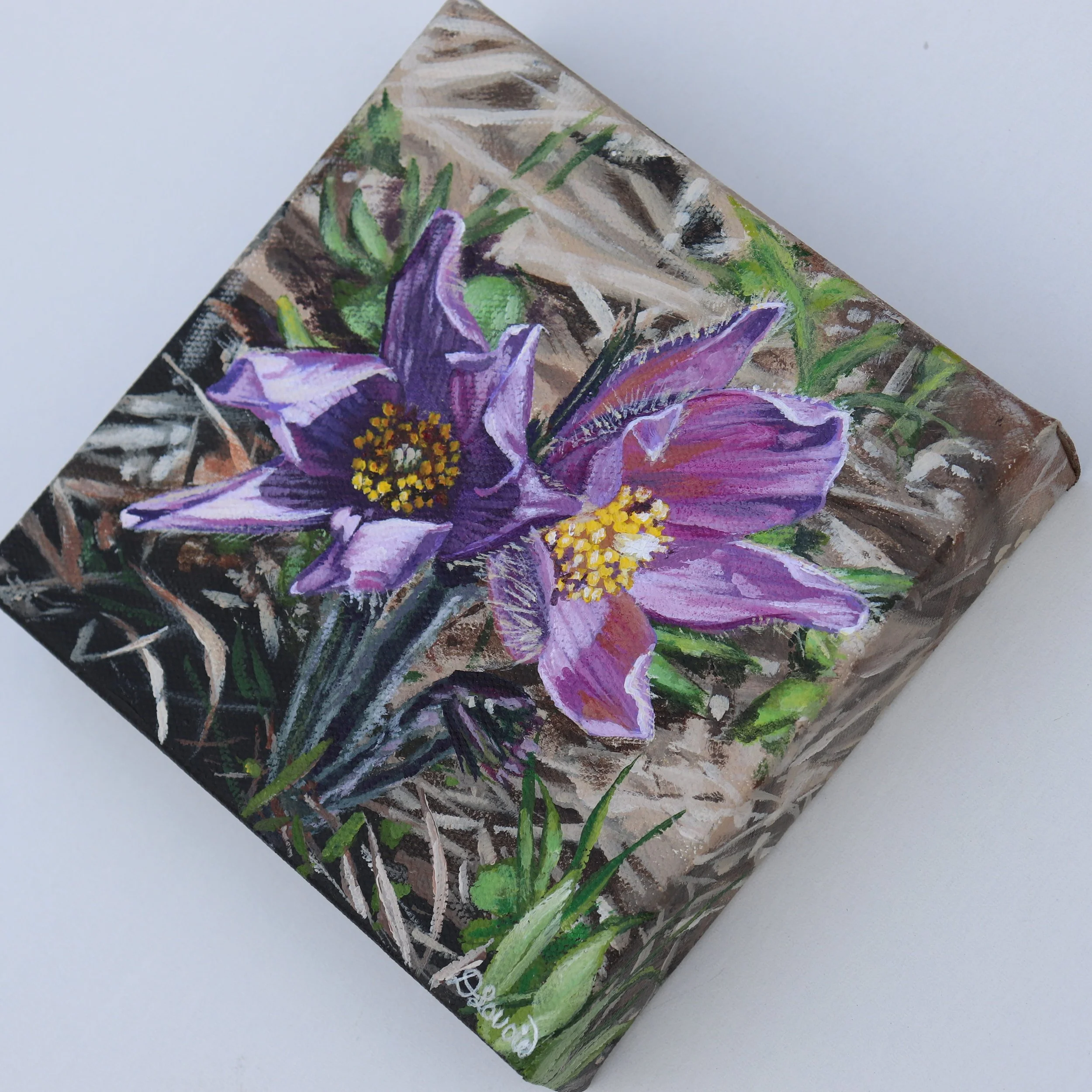 Spring Opening 6x6 Side View.jpg