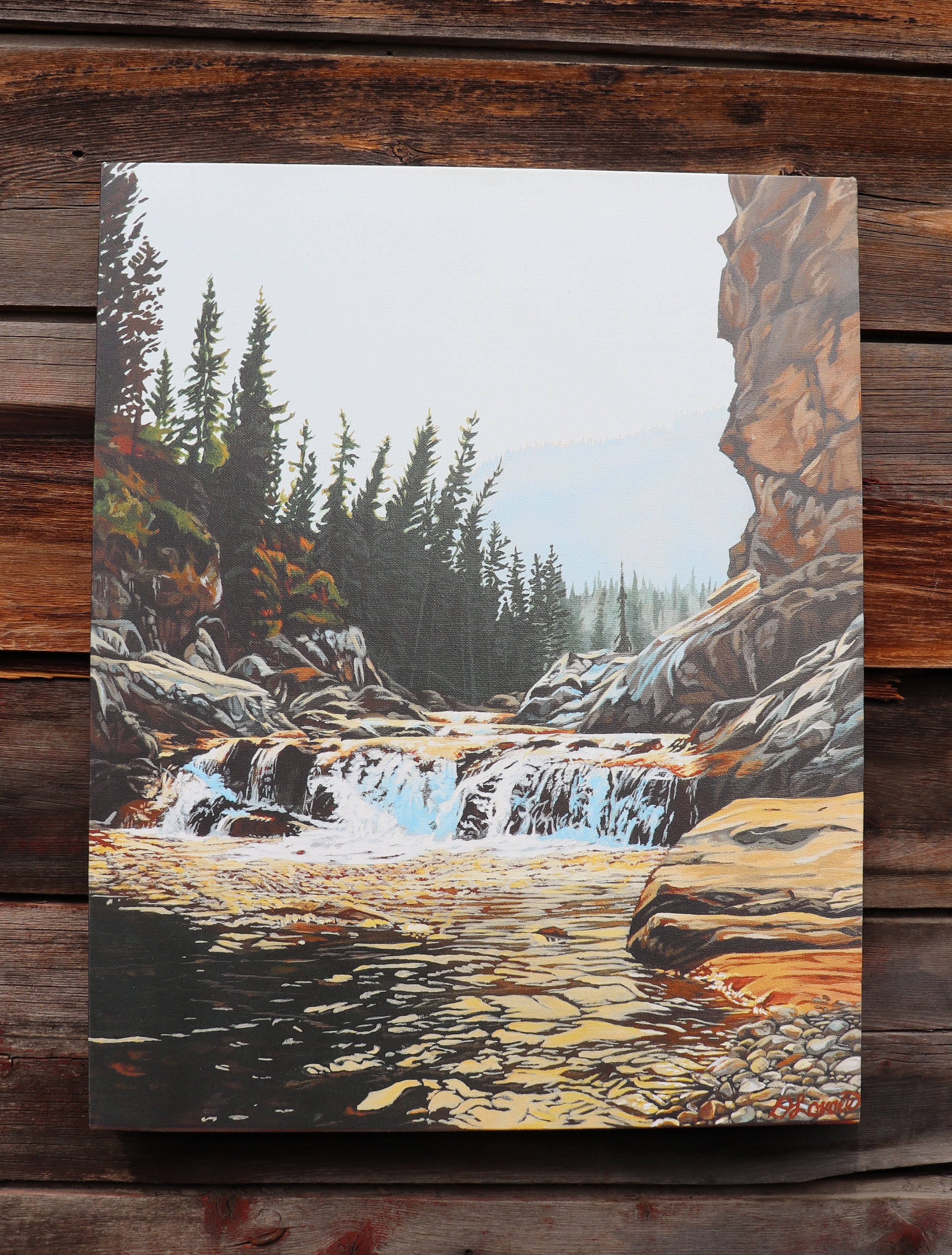 Front Wild Spaces - Giclee Canvas 20x16.JPG