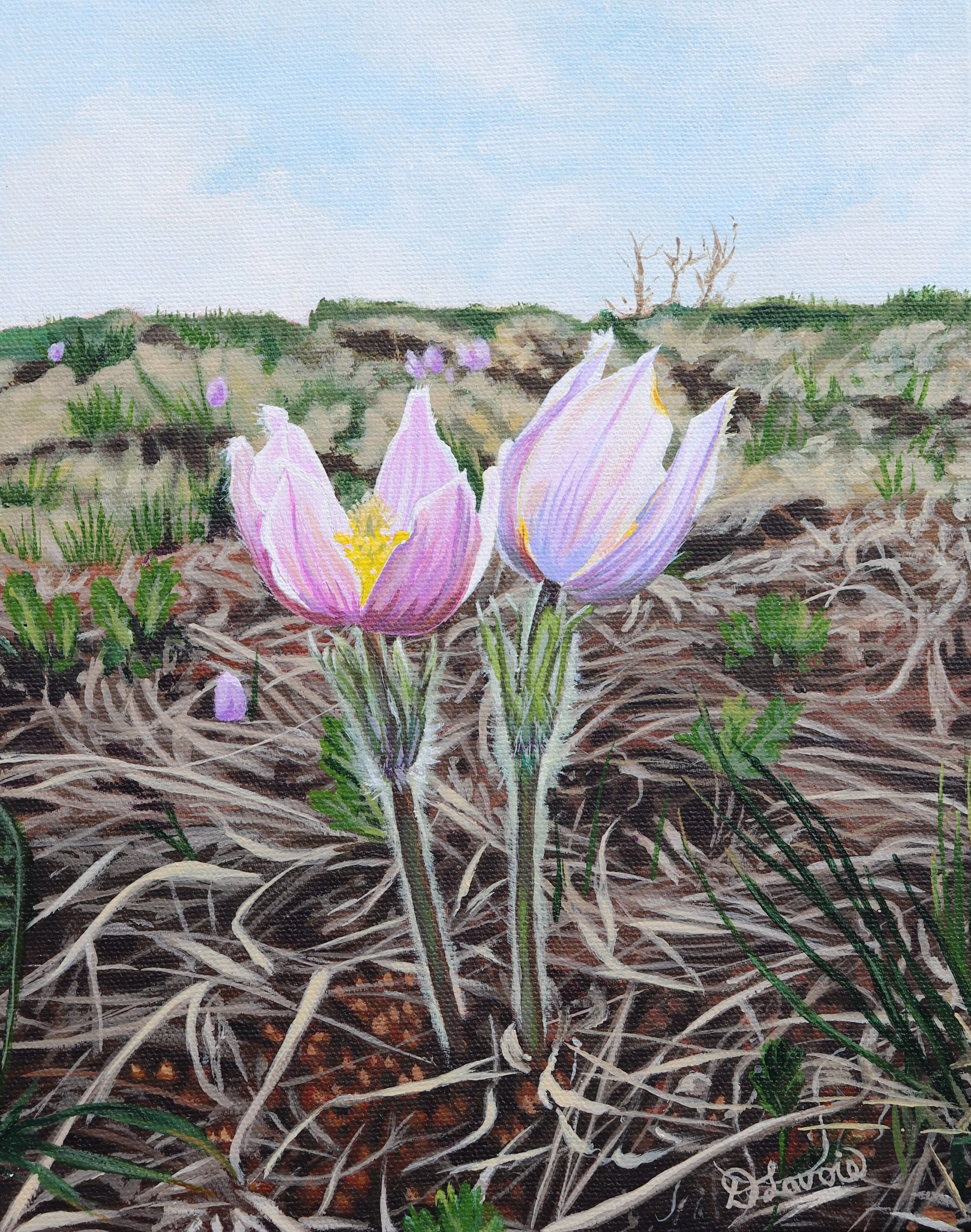 New Beginnings 10x8 Acrylic on Canvas.jpg