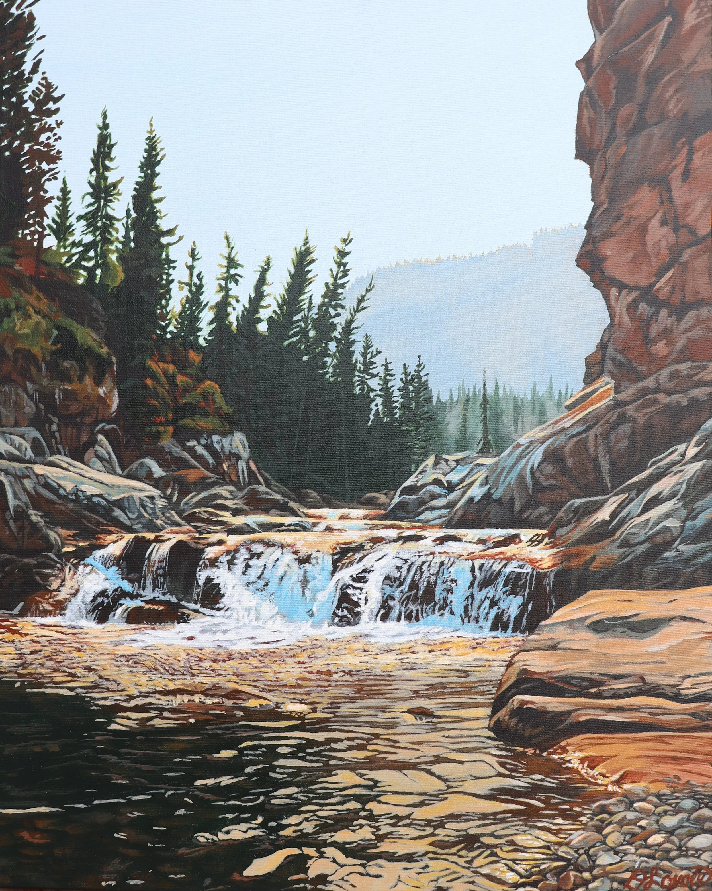 Wildspaces - 20 x 16 Acrylic on Canvas1.jpg