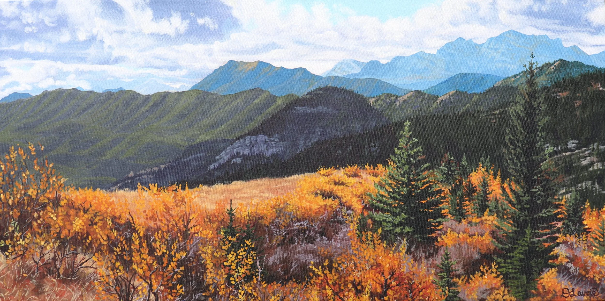 Untitled 15x30 Acrylic on Canvas.jpg