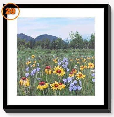 20- A Wildflower Walk.jpg