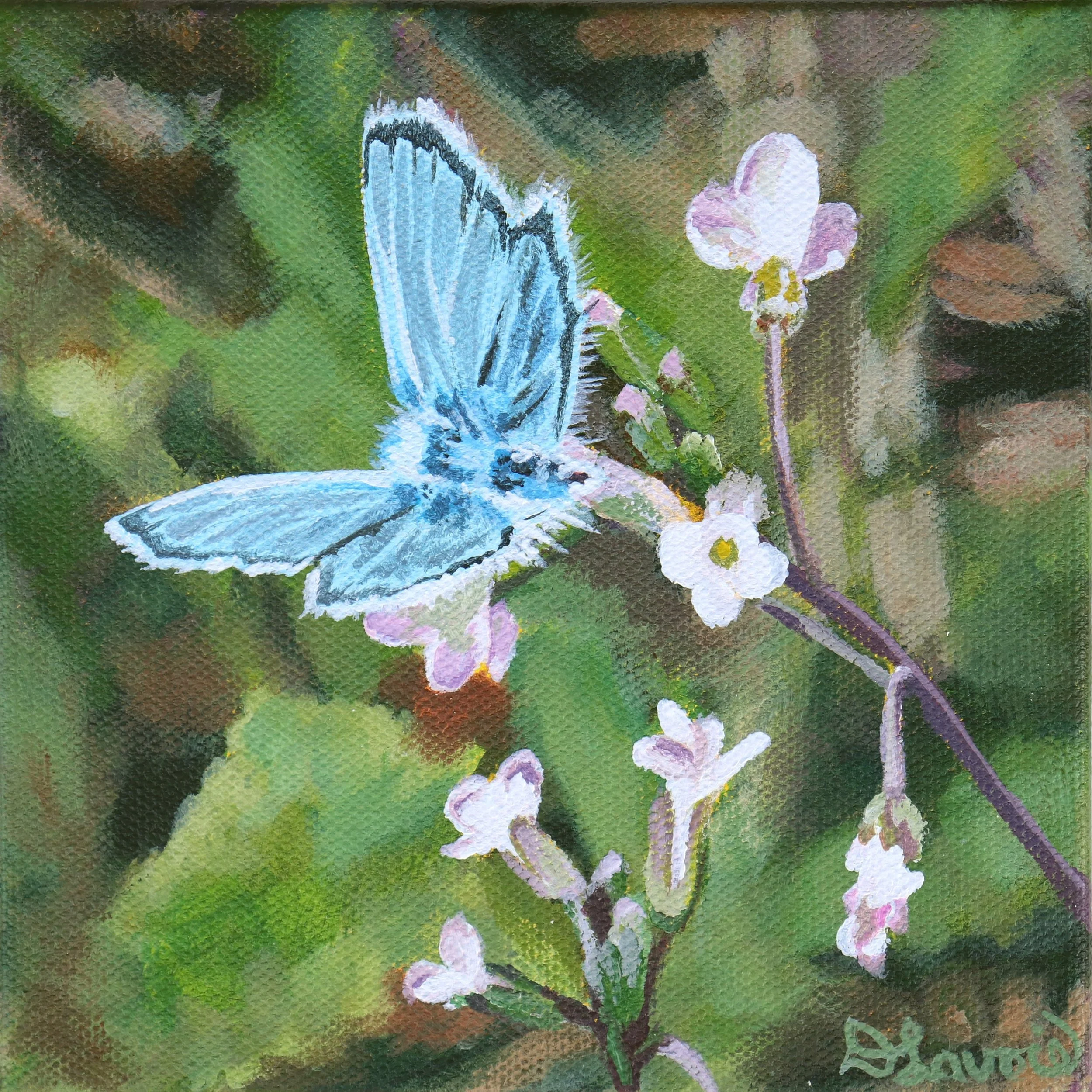 Untamed_6x6_Acrylic on Canvas.jpg