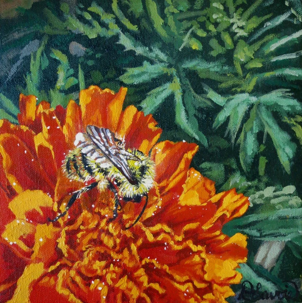 Bees in my backyard untitled low rez.JPG