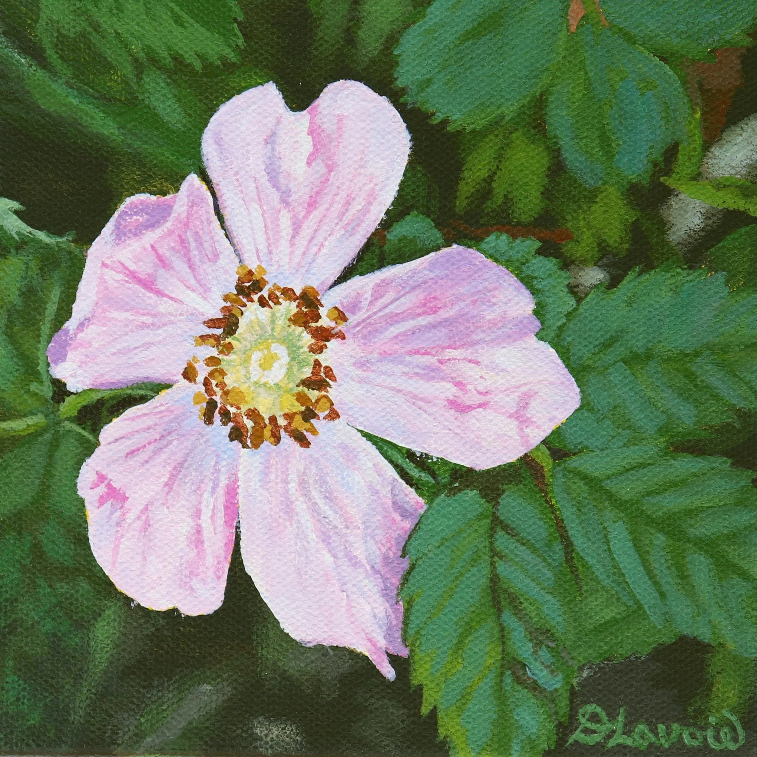 Sunbathing_6x6_Acrylic on Canvas.jpg