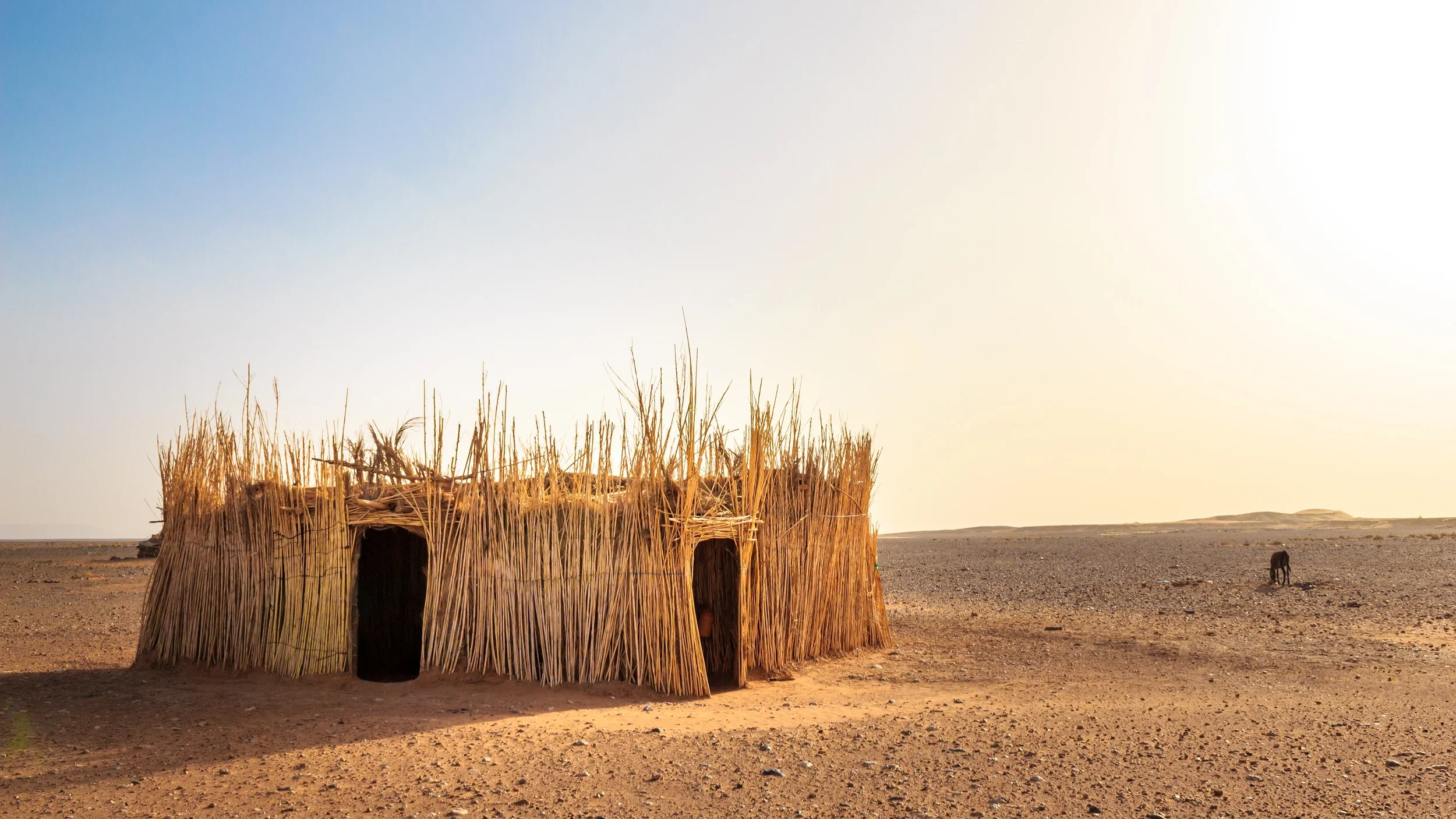 Our House Of Straw