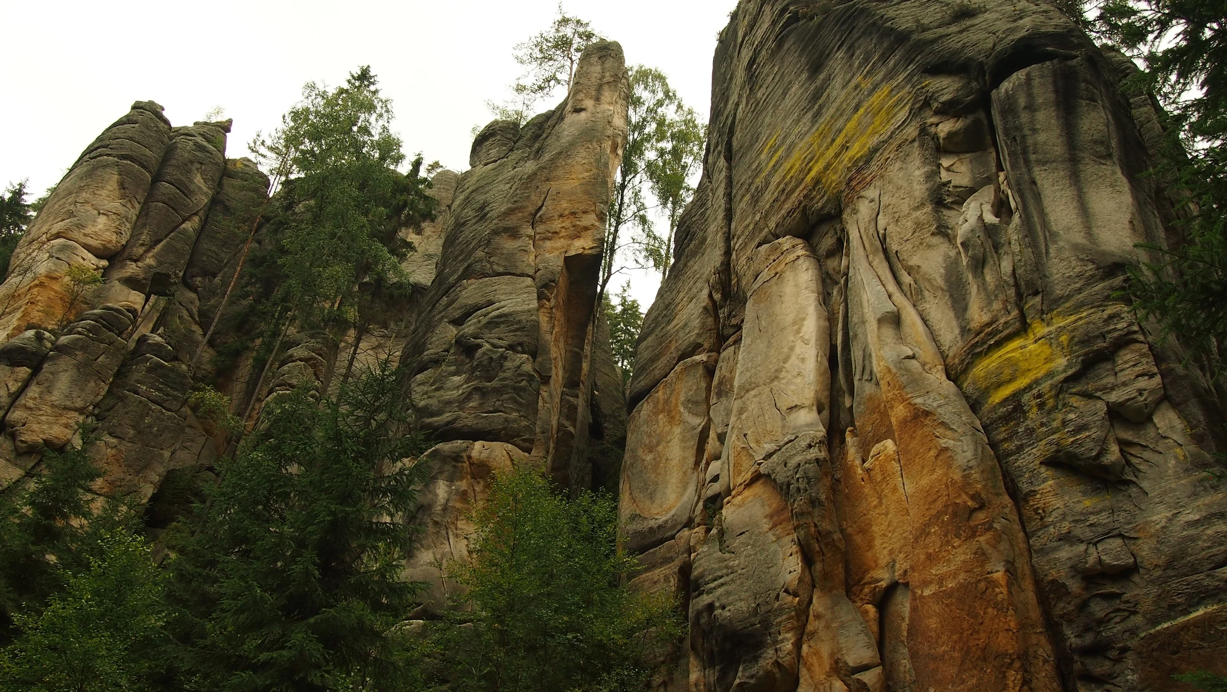 Walking Among Giants