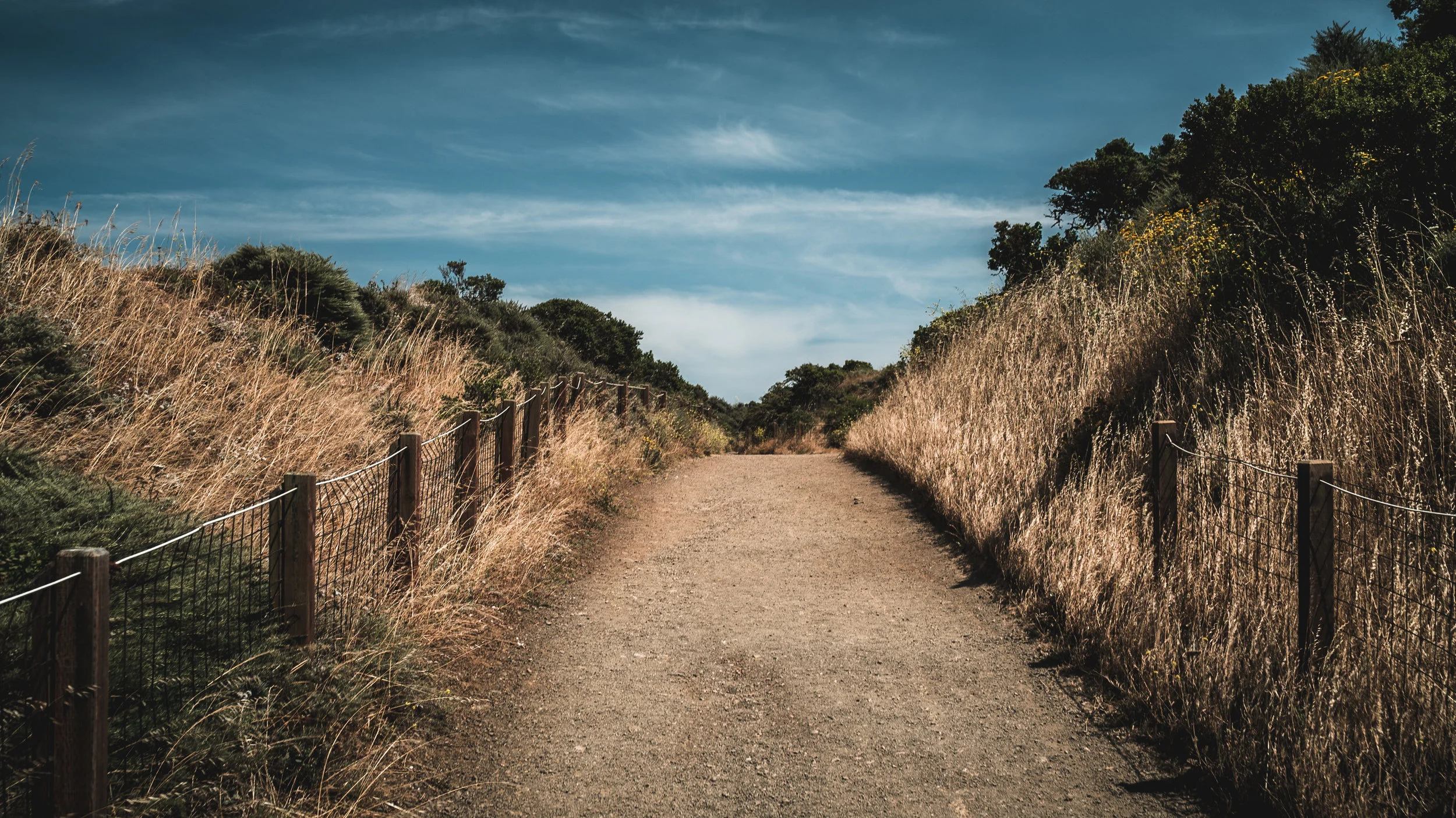 Weekend Wandering (06/10)