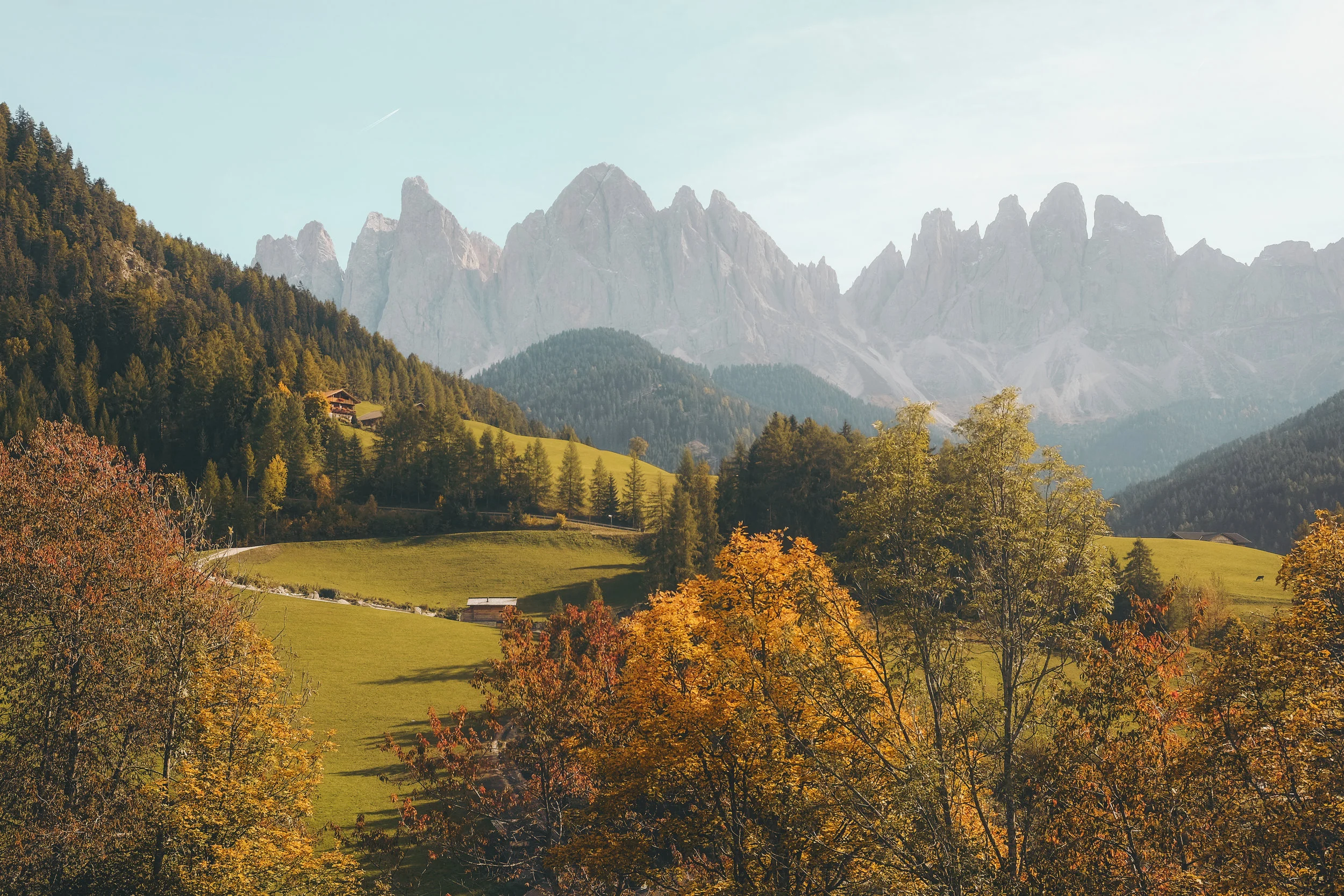 Weekend Wandering (20/10)