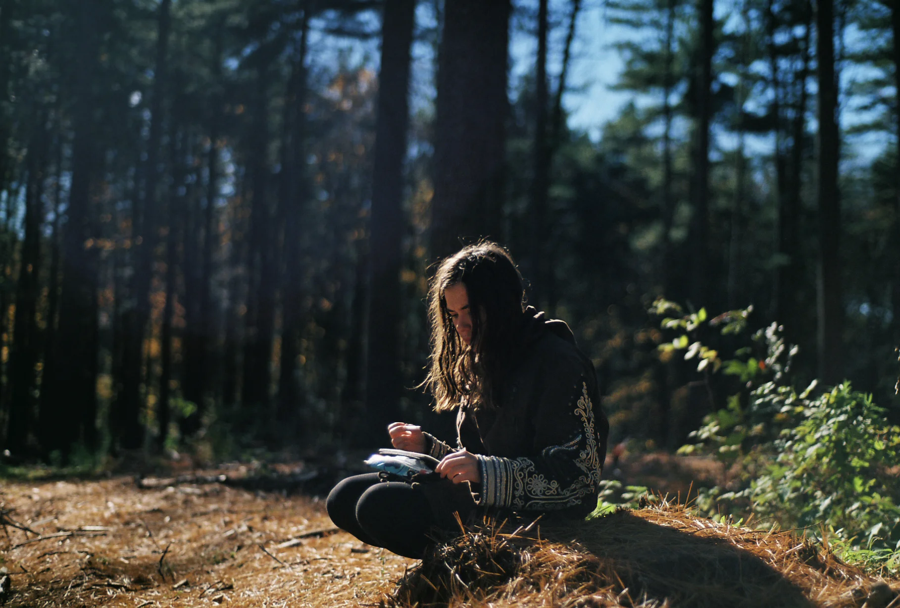 Weekend Wandering (30/11)