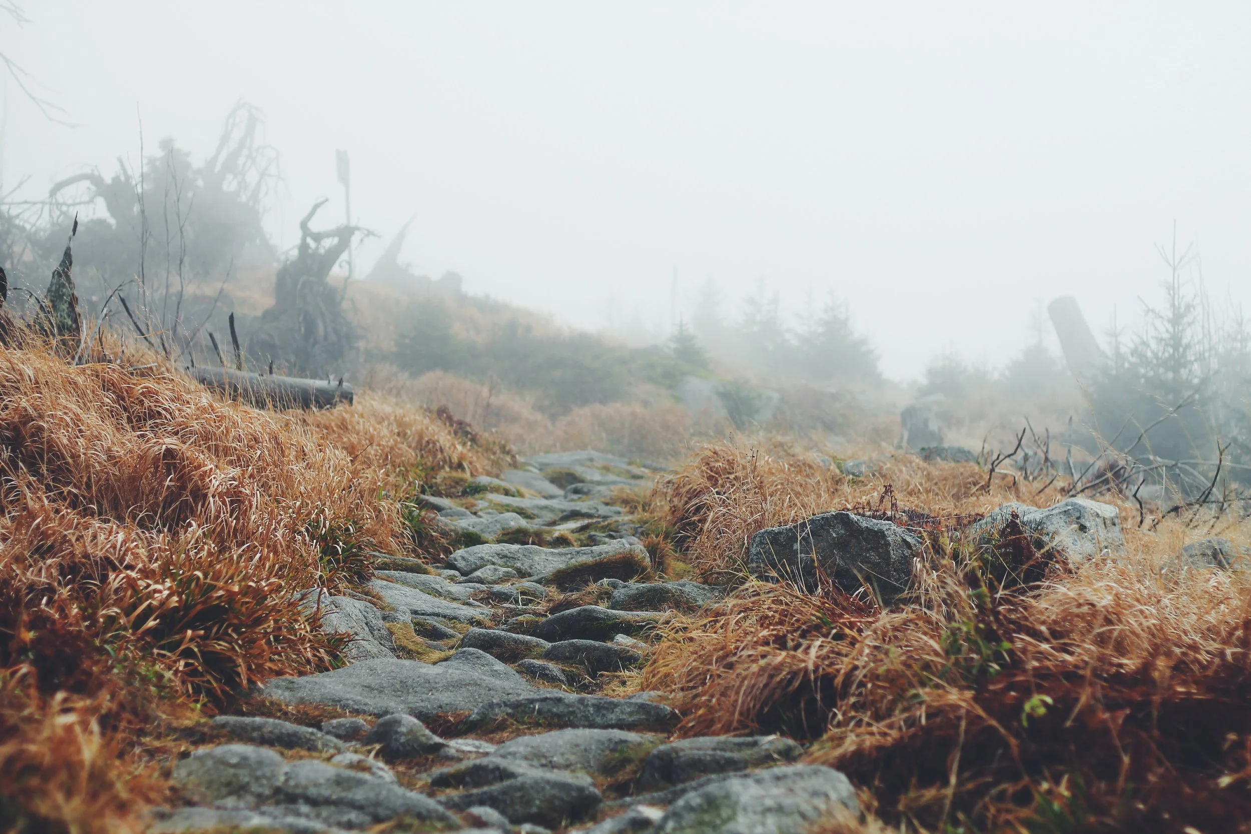 Following Jesus When It’s Difficult