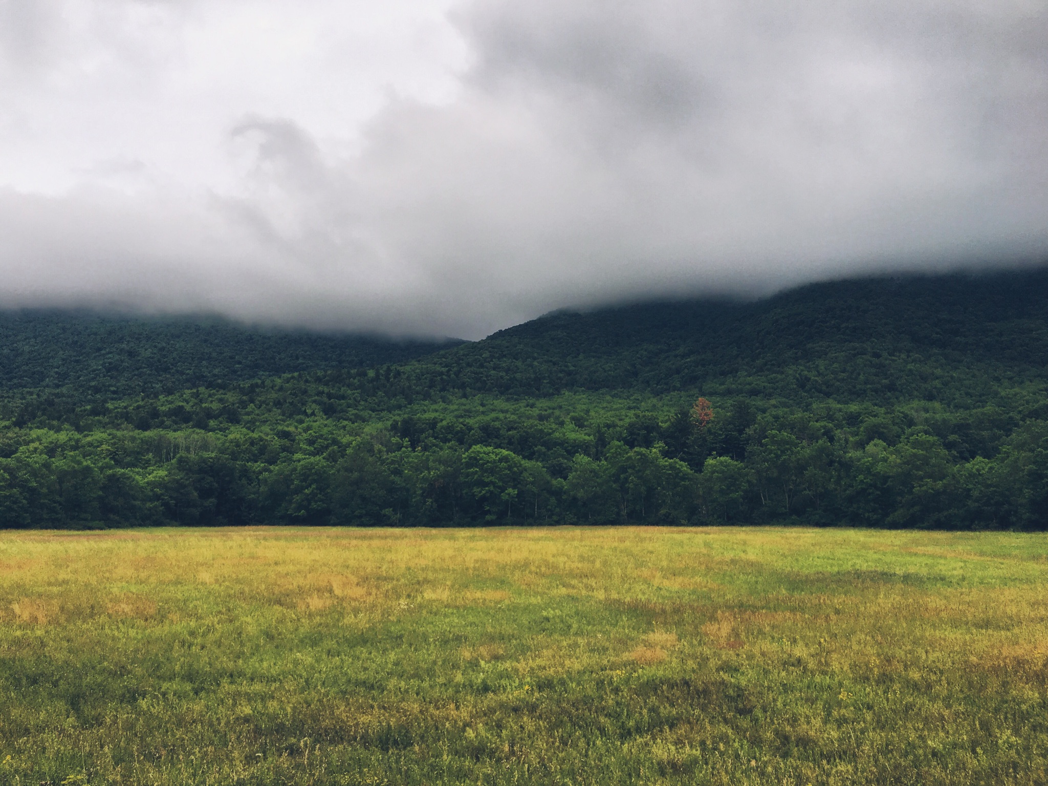 The Pressure of the Pastorate