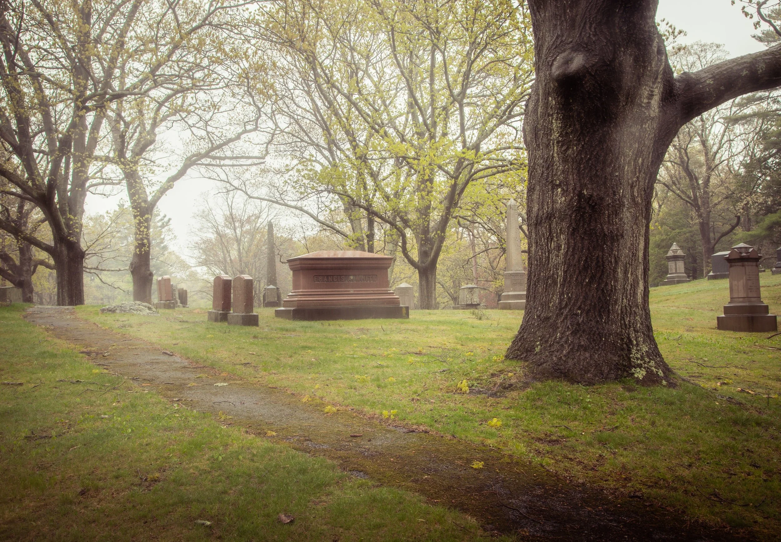 Treading The Path Toward Death