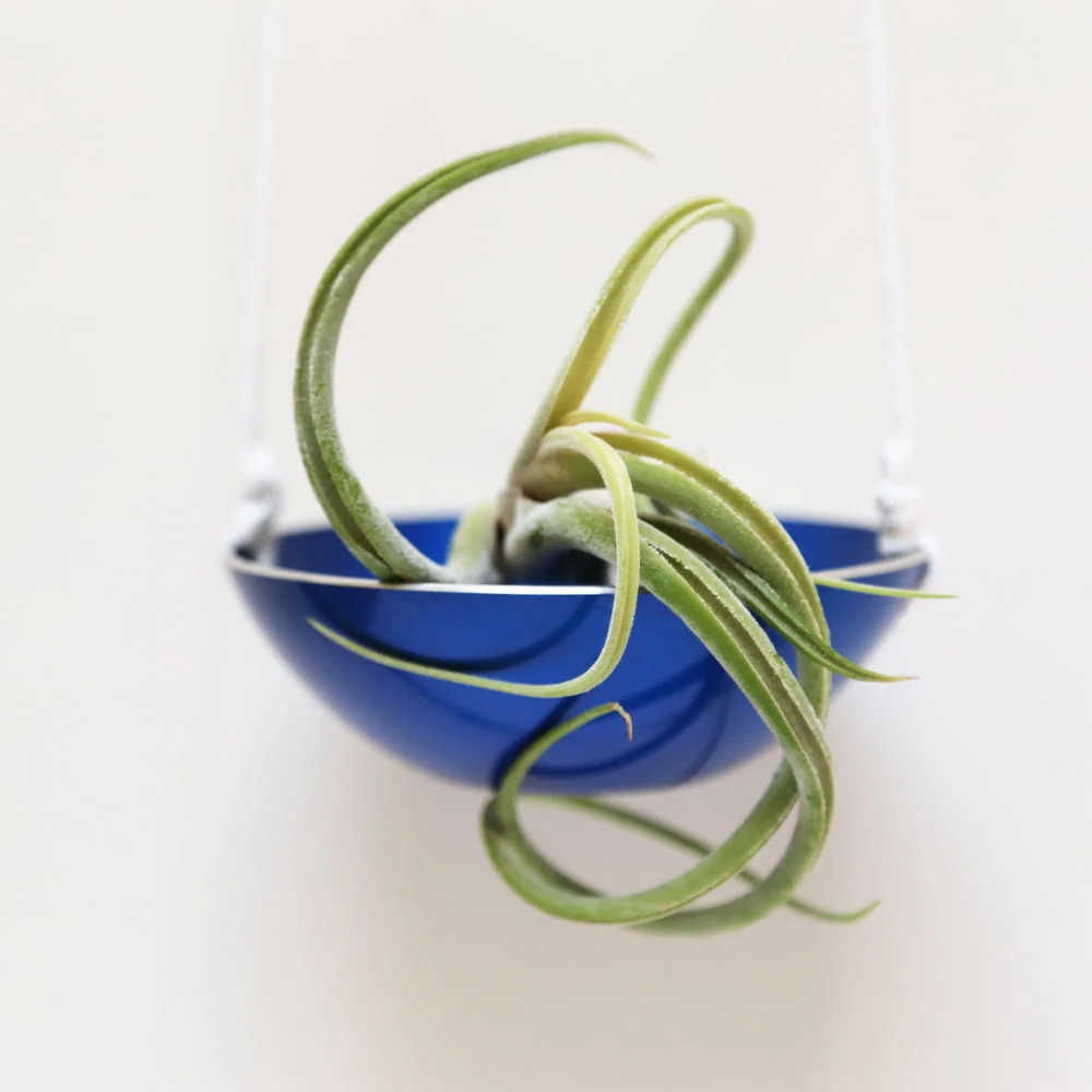 Oslo hanging planter made from vintage bowl $35 // found by a prop stylist // courtney dawley