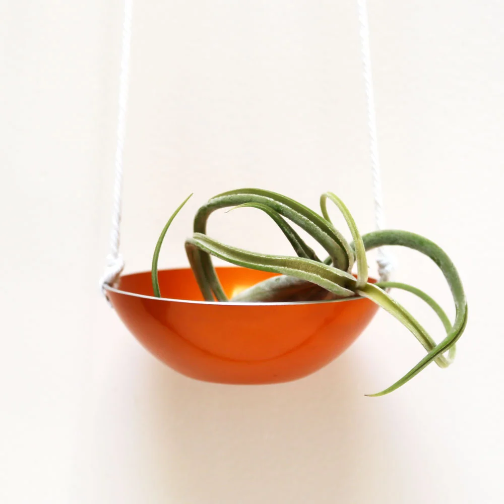 Oslo hanging planter made from vintage bowl $35 // found by a prop stylist // courtney dawley