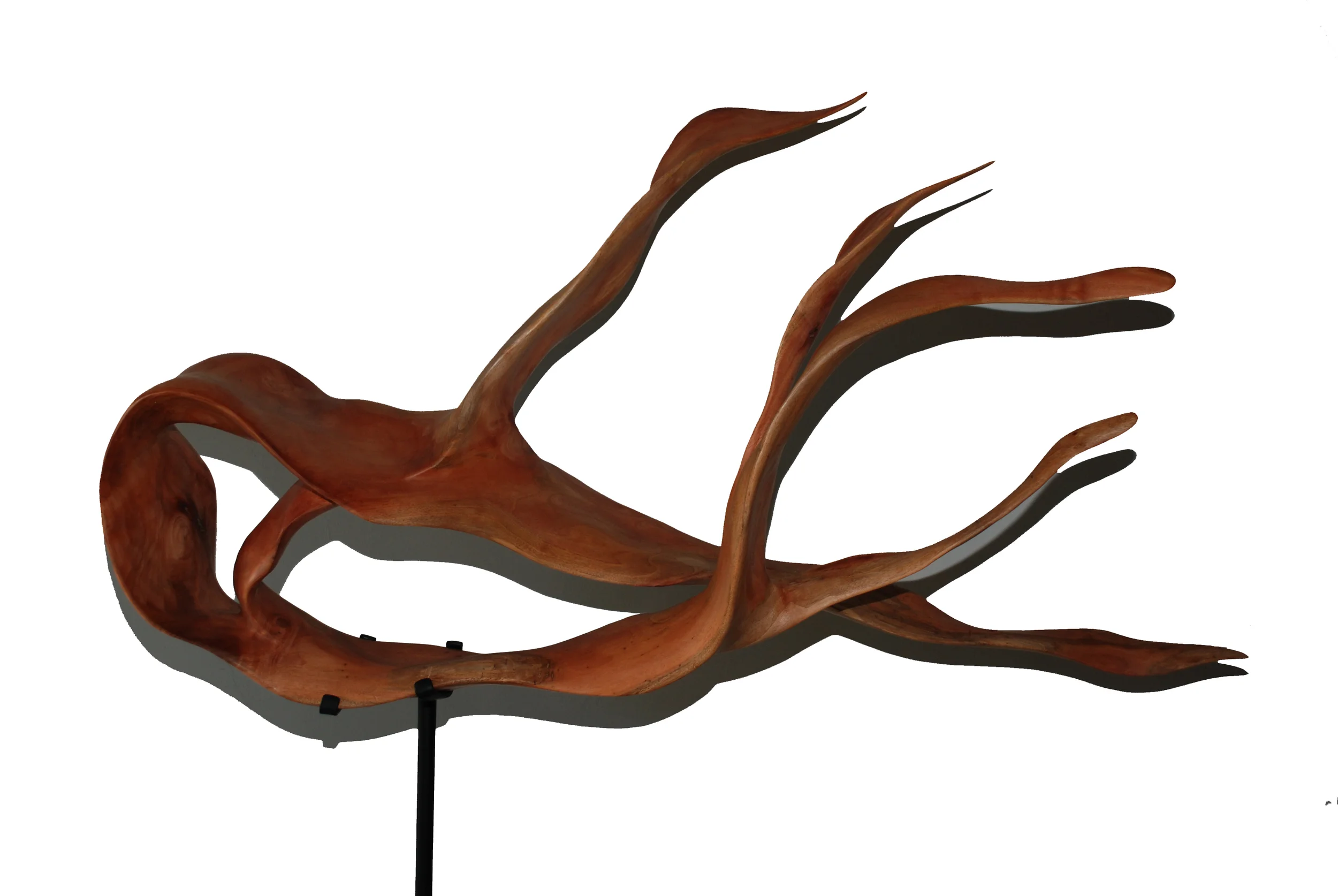 Angel Fish (Suar Wood & Metal Base, 63x41x22 in, SOLD)
