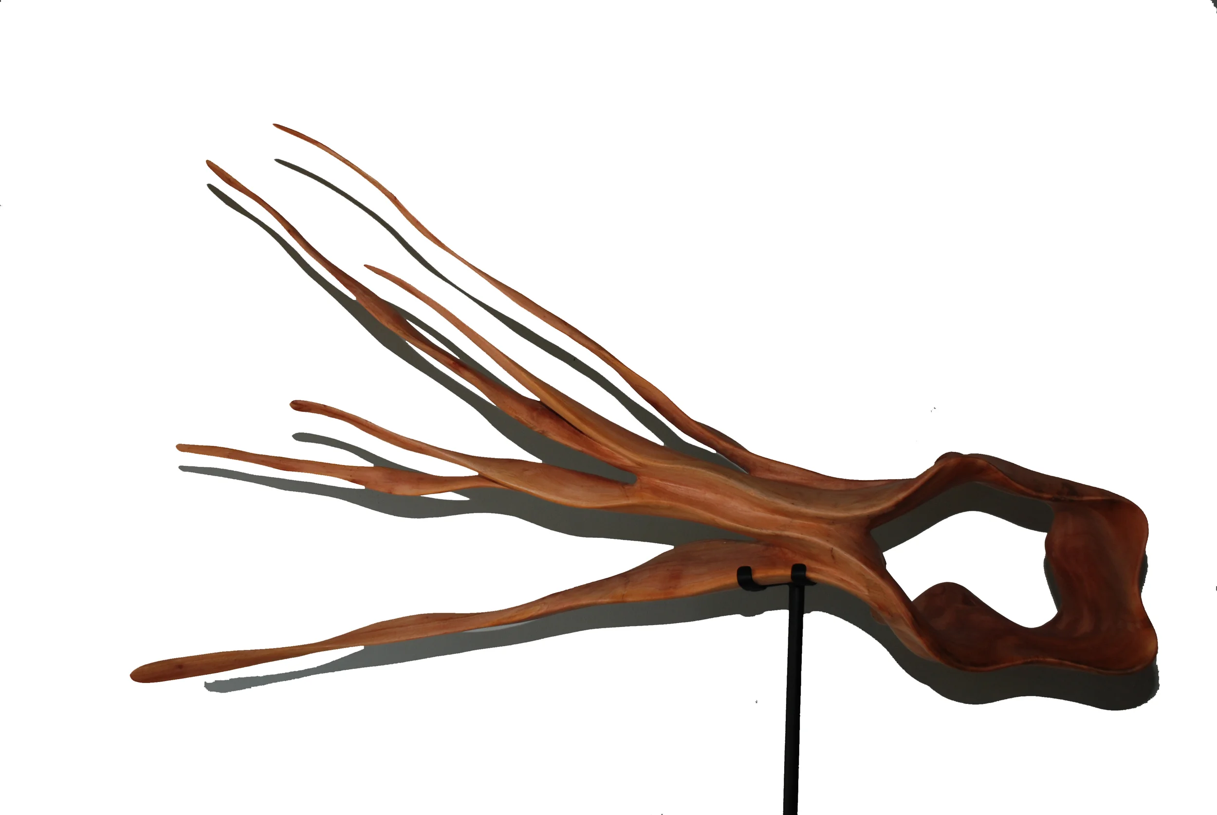 Squid (Suar Wood & Steel Base, 74x57x23 in, SOLD)