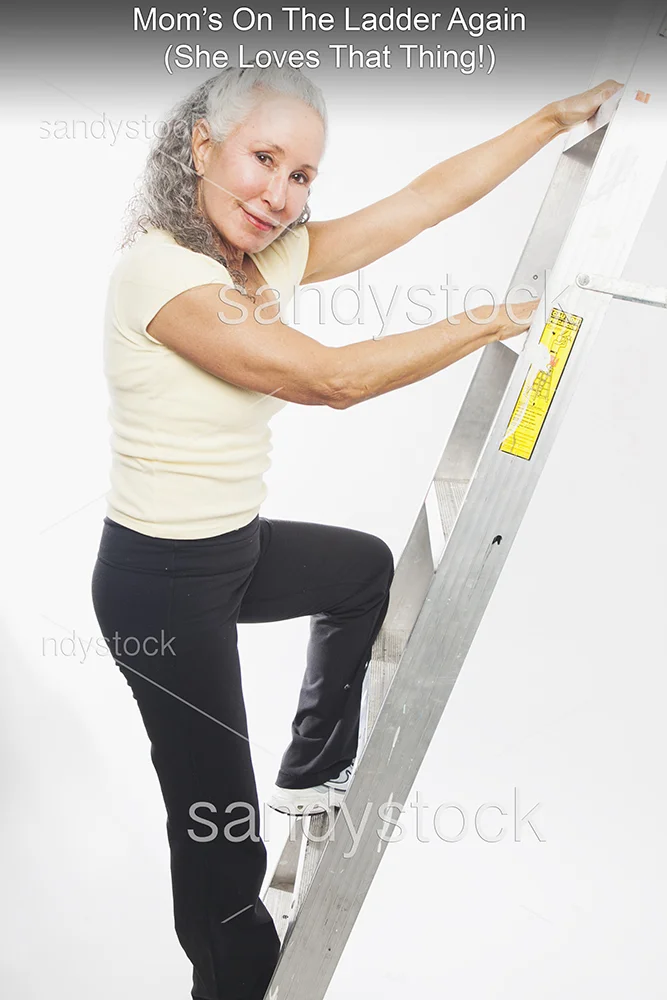ladder.jpg