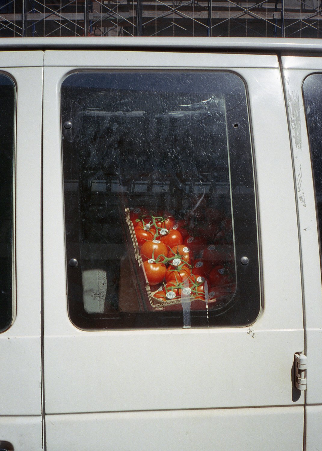 img_054-Edit 10x14.jpg