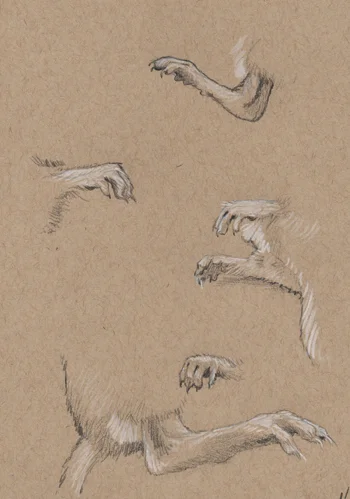 Mouse Feet