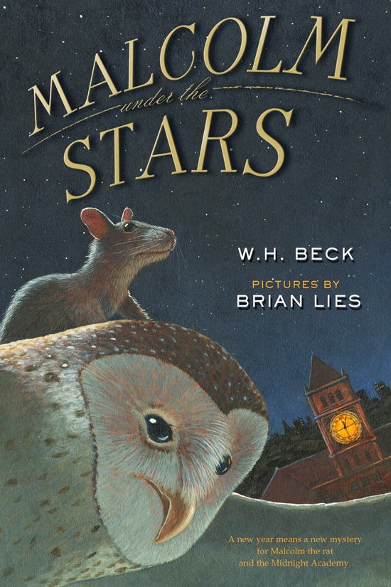 Copy of Malcolm Under the Stars
